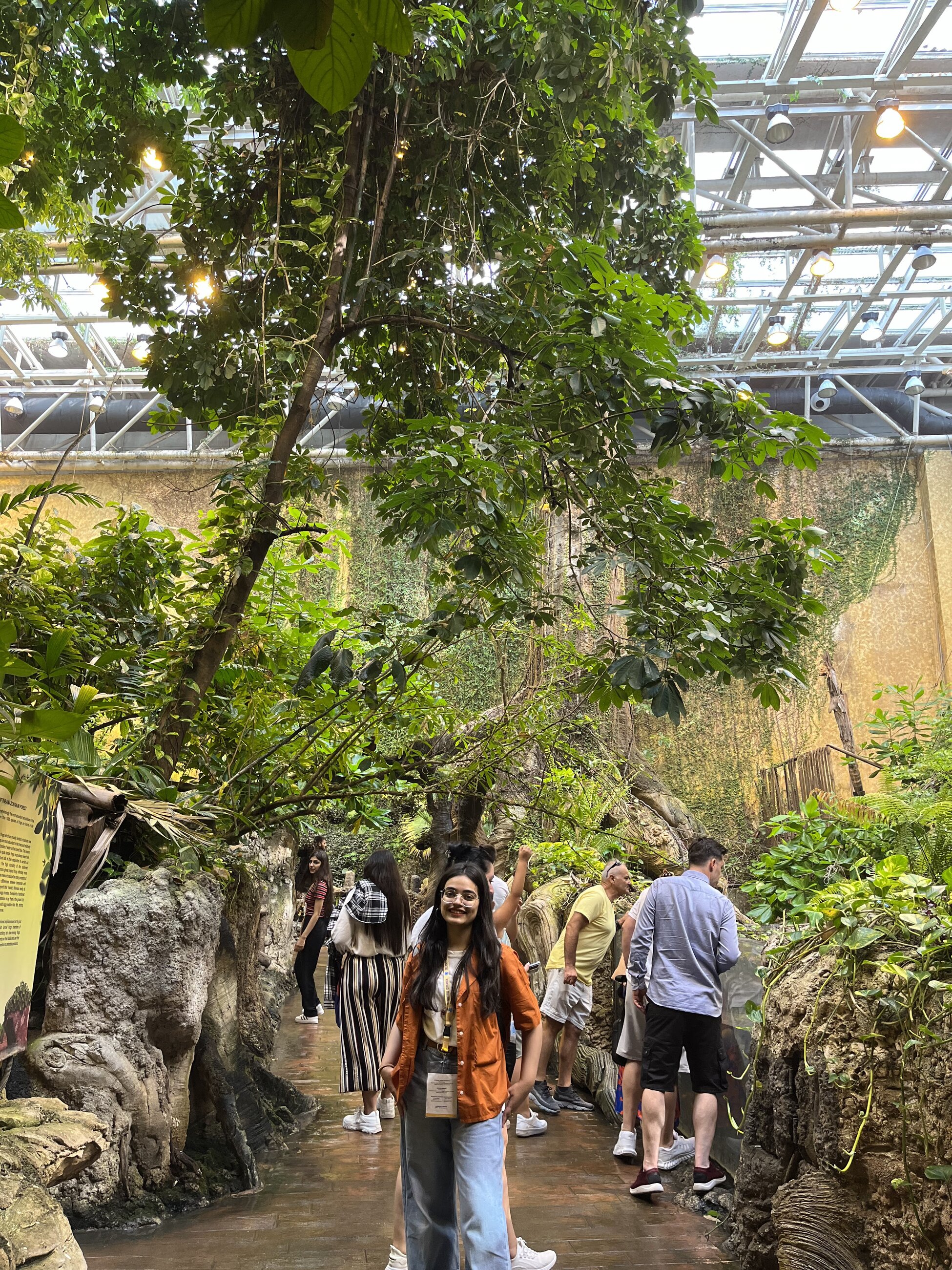 Indoor forest 🍀