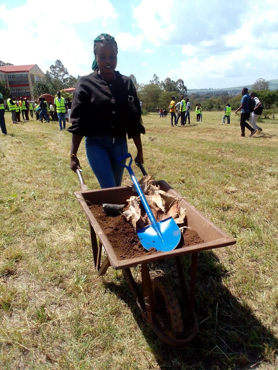 TREE PLANTING