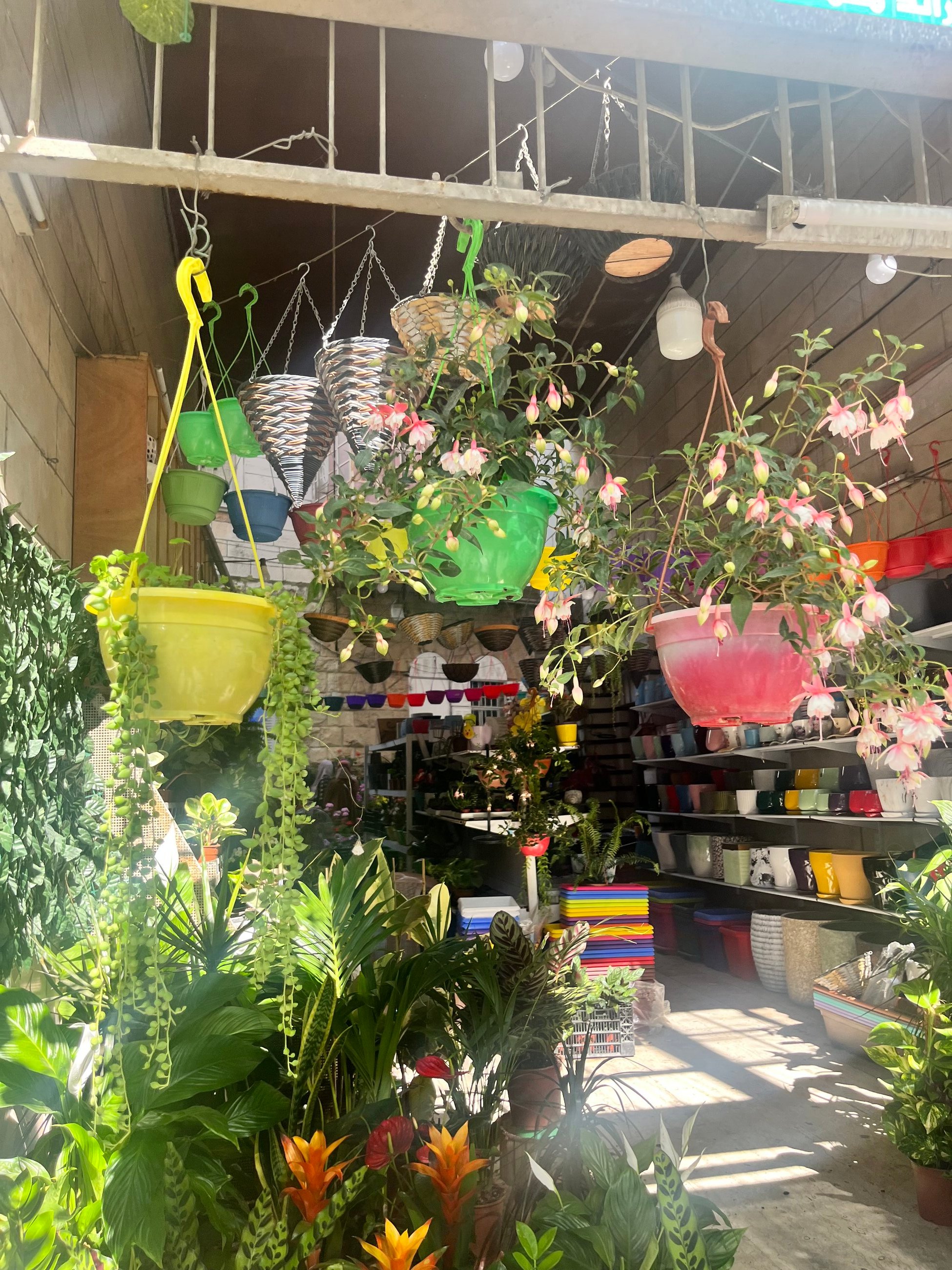 Palestinian shop
