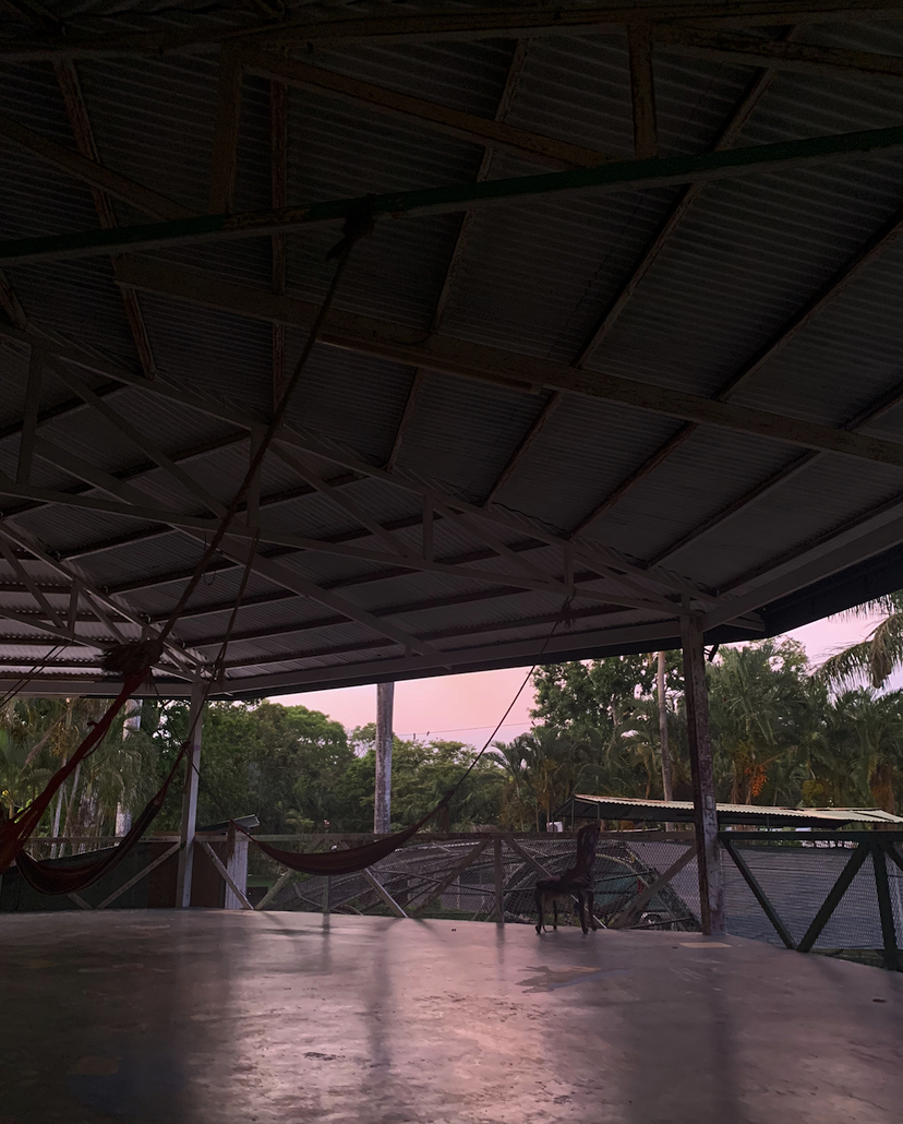 hammocks to relax and watch the sunsets