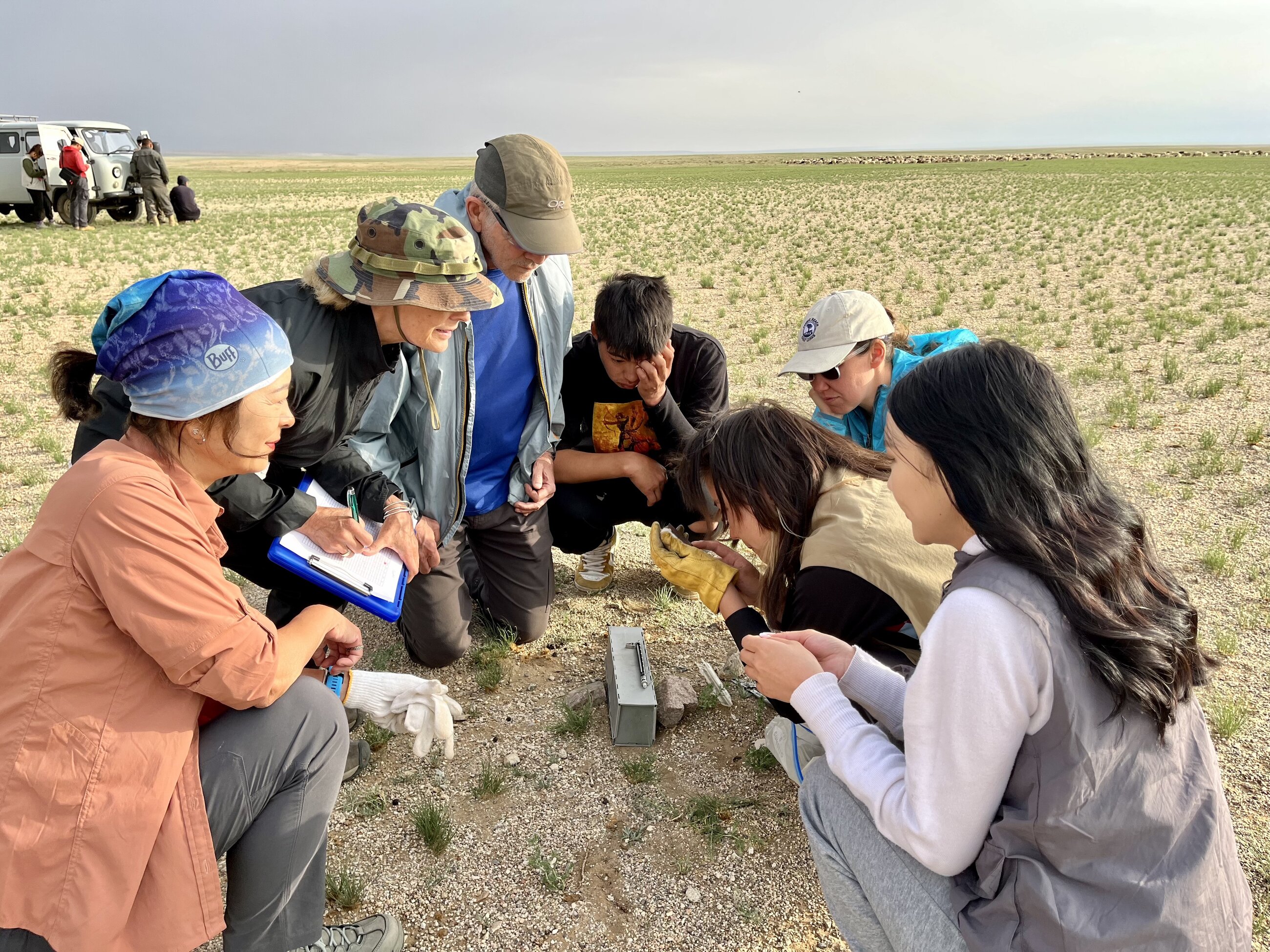 tagging small mammals