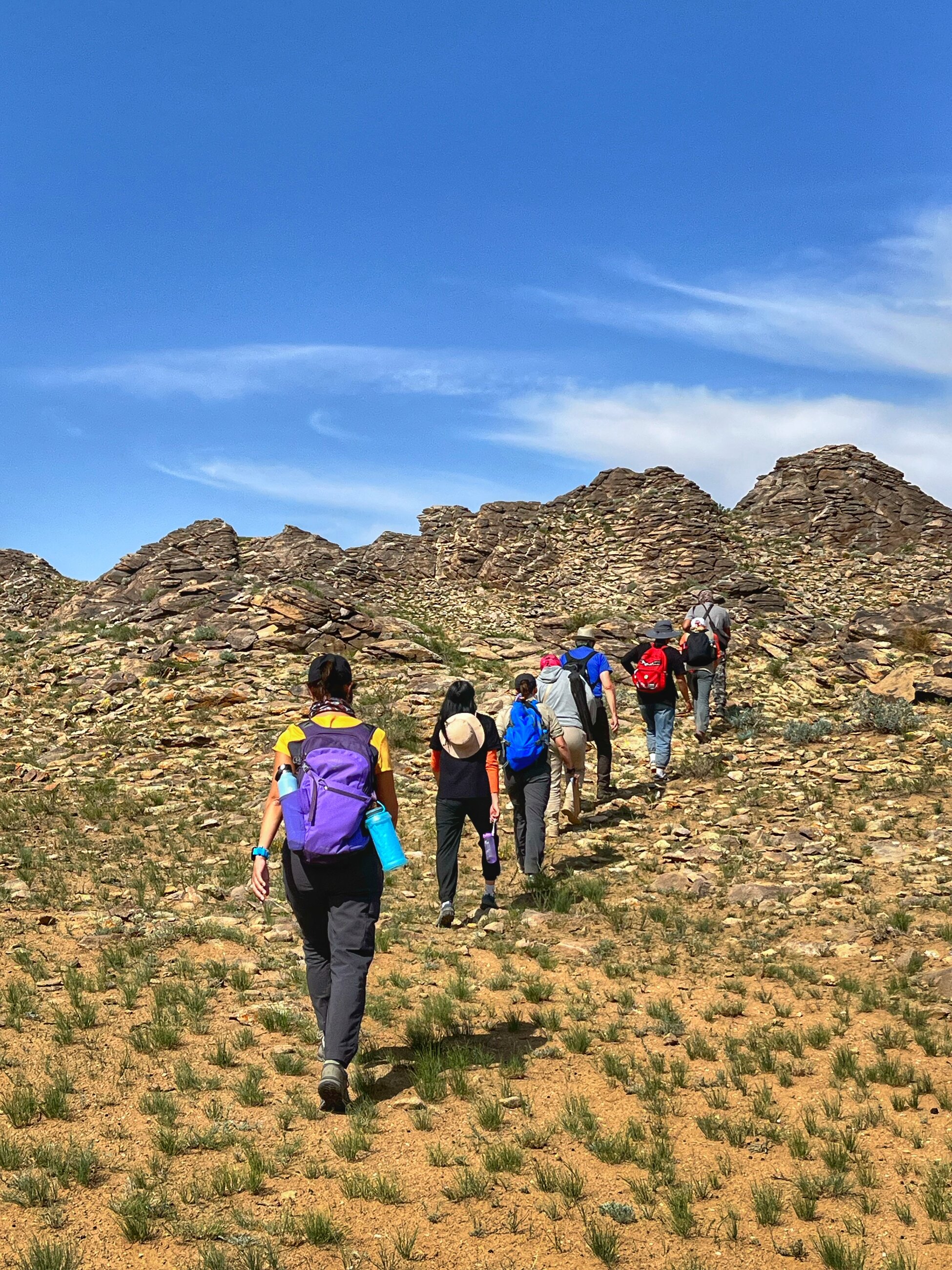 hiking the distance to monitor argali sheep and ibex