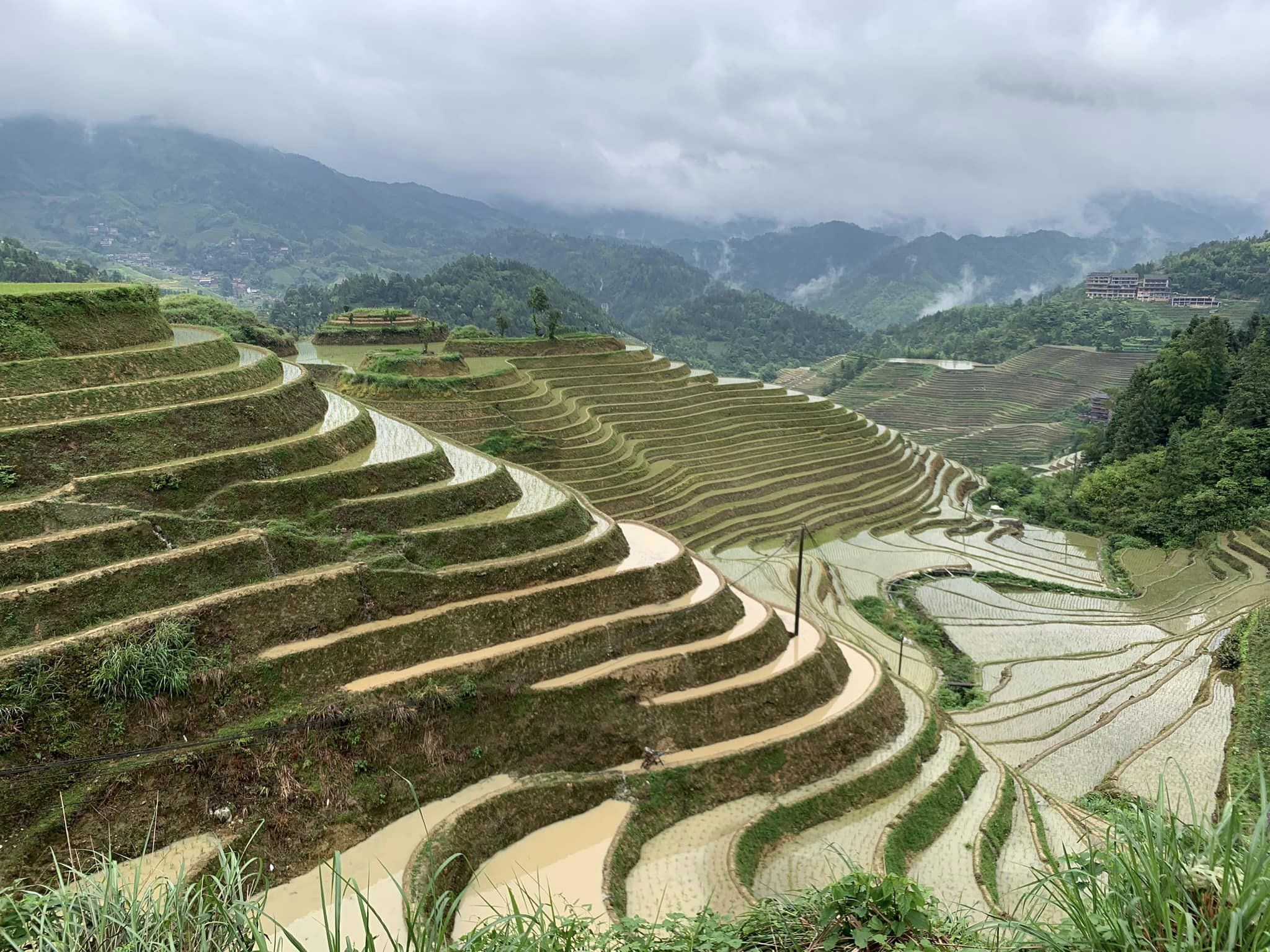 Longsheng Terraced Rice Fields