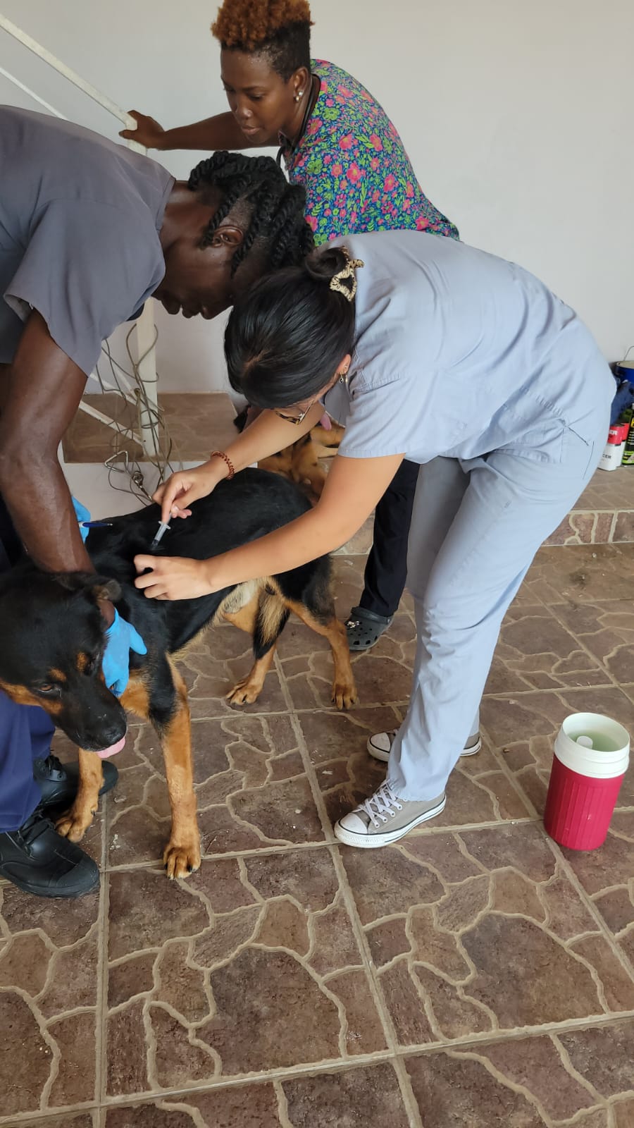 giving vaccines with Sean and Dr.Cole