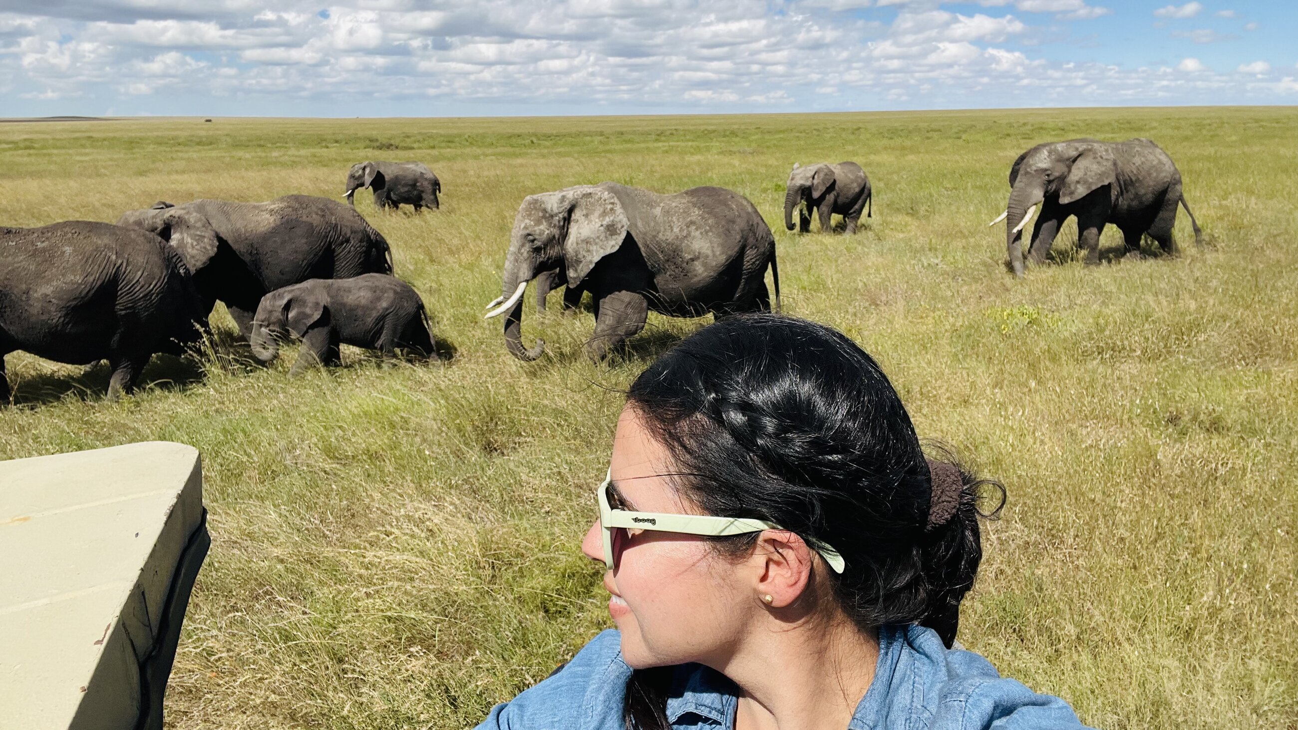 Safari
