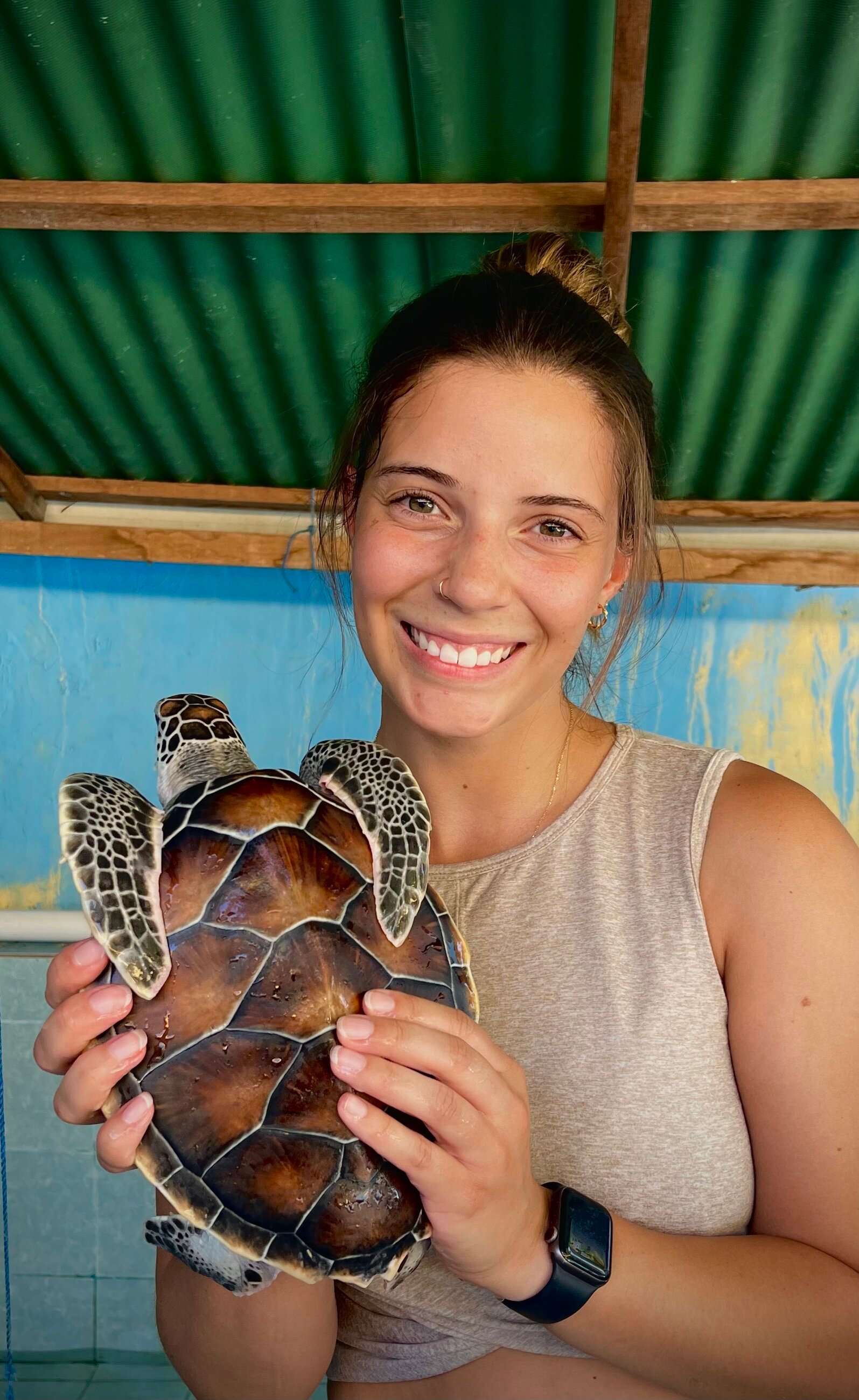Nusa Penida Sea Turtle Conservation