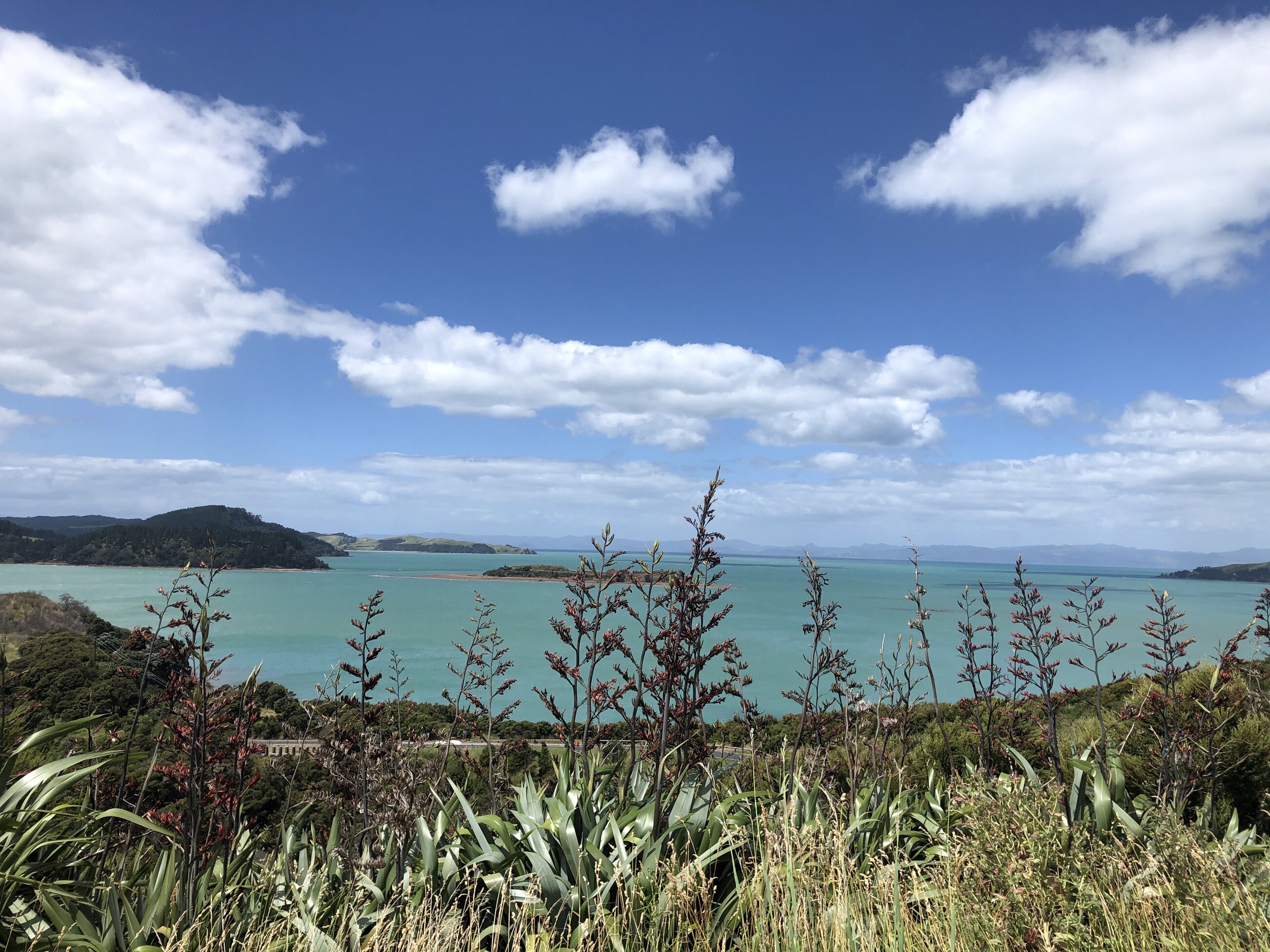 Waharau Regional Park