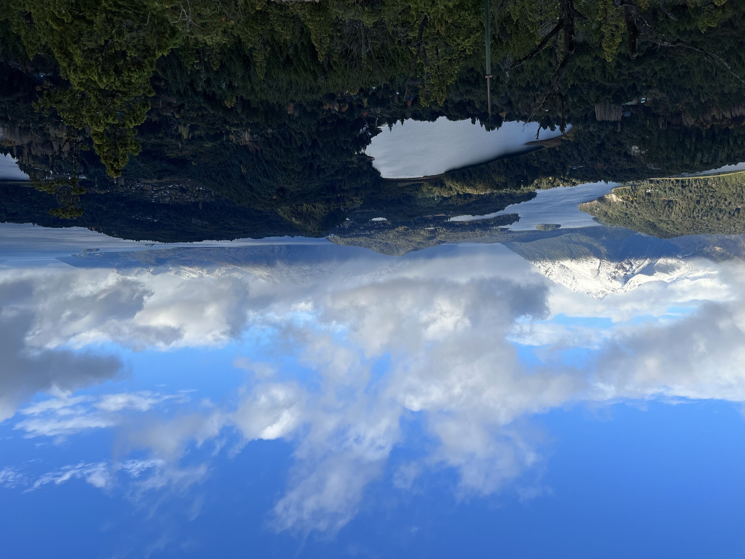 The Patagonia