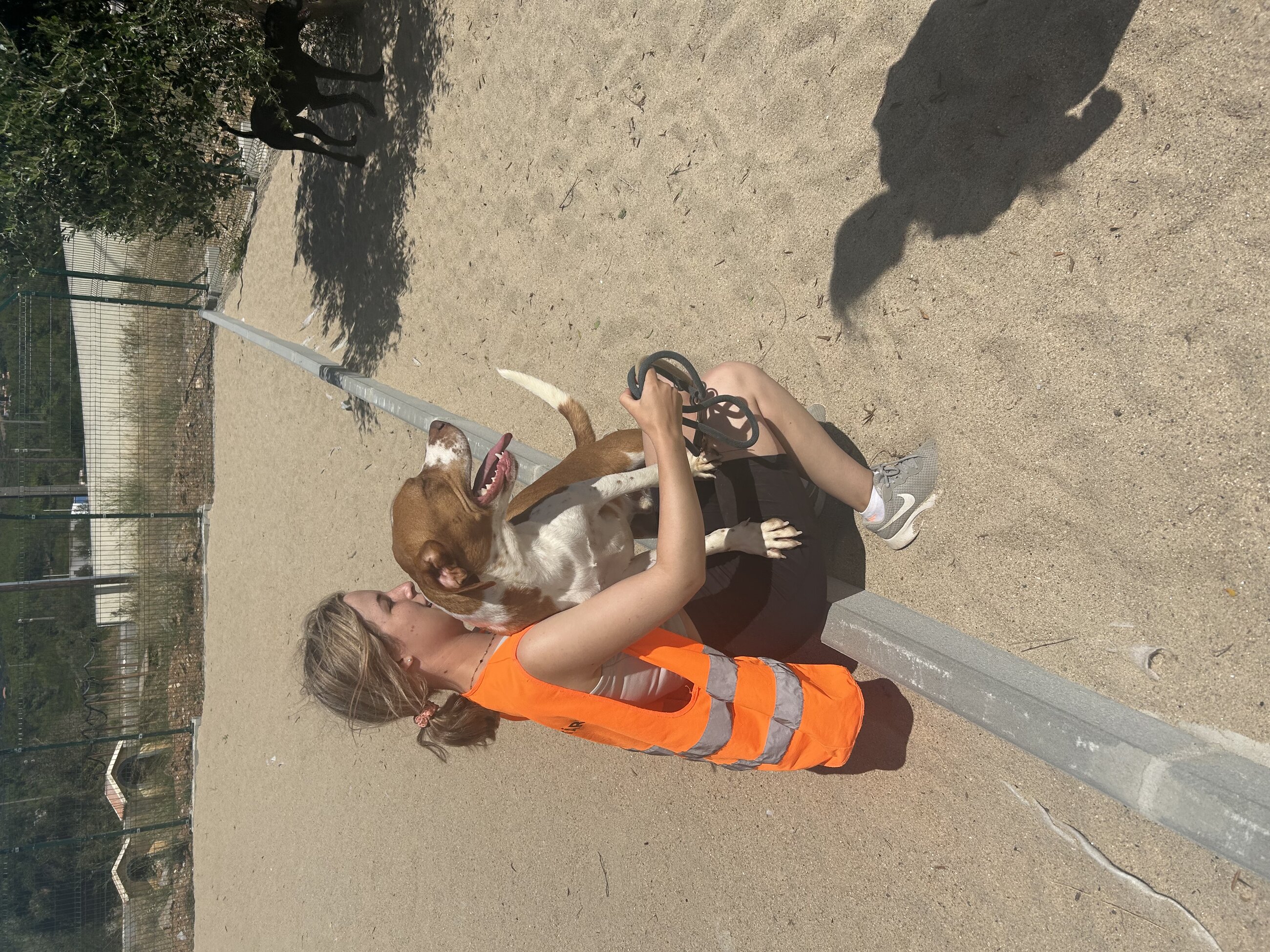 Playing with the lovely dog Rolex