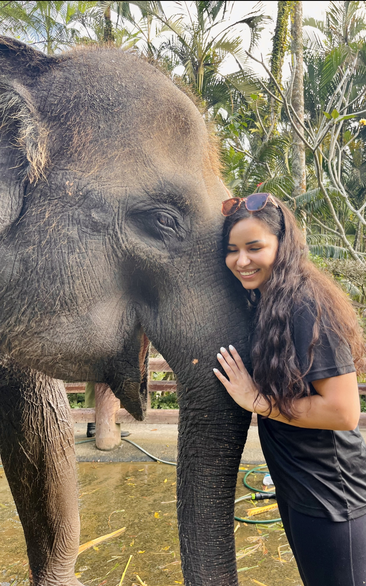 Elephant in Bali, Indonesia😊