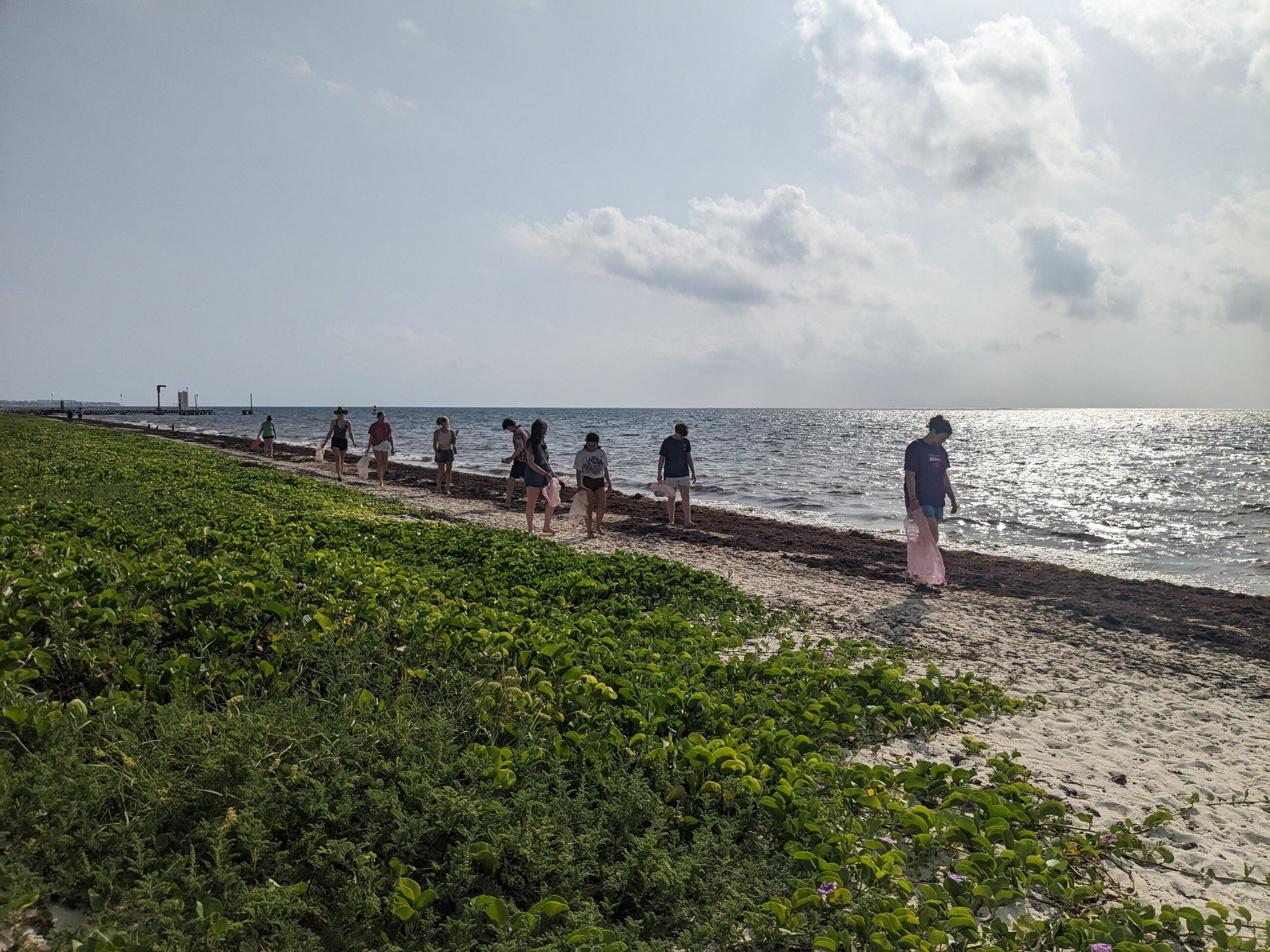 Beach Clean at Puerto Morelos