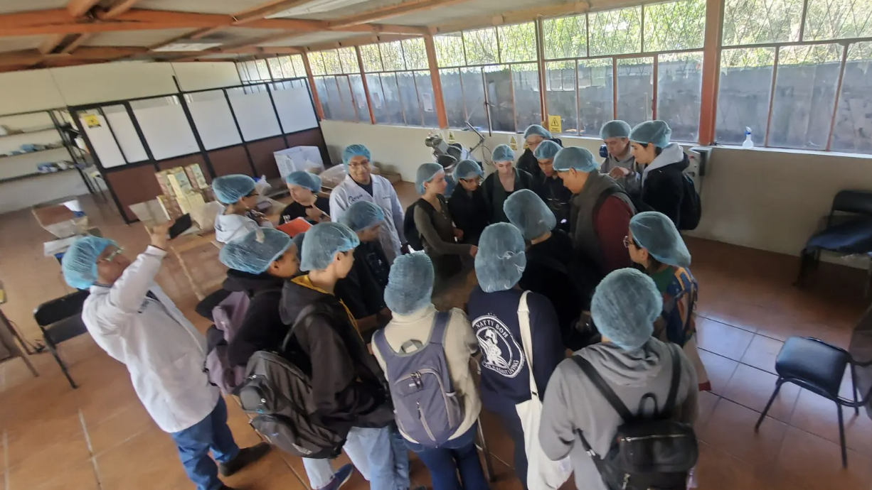 Visiting the quinoa factory