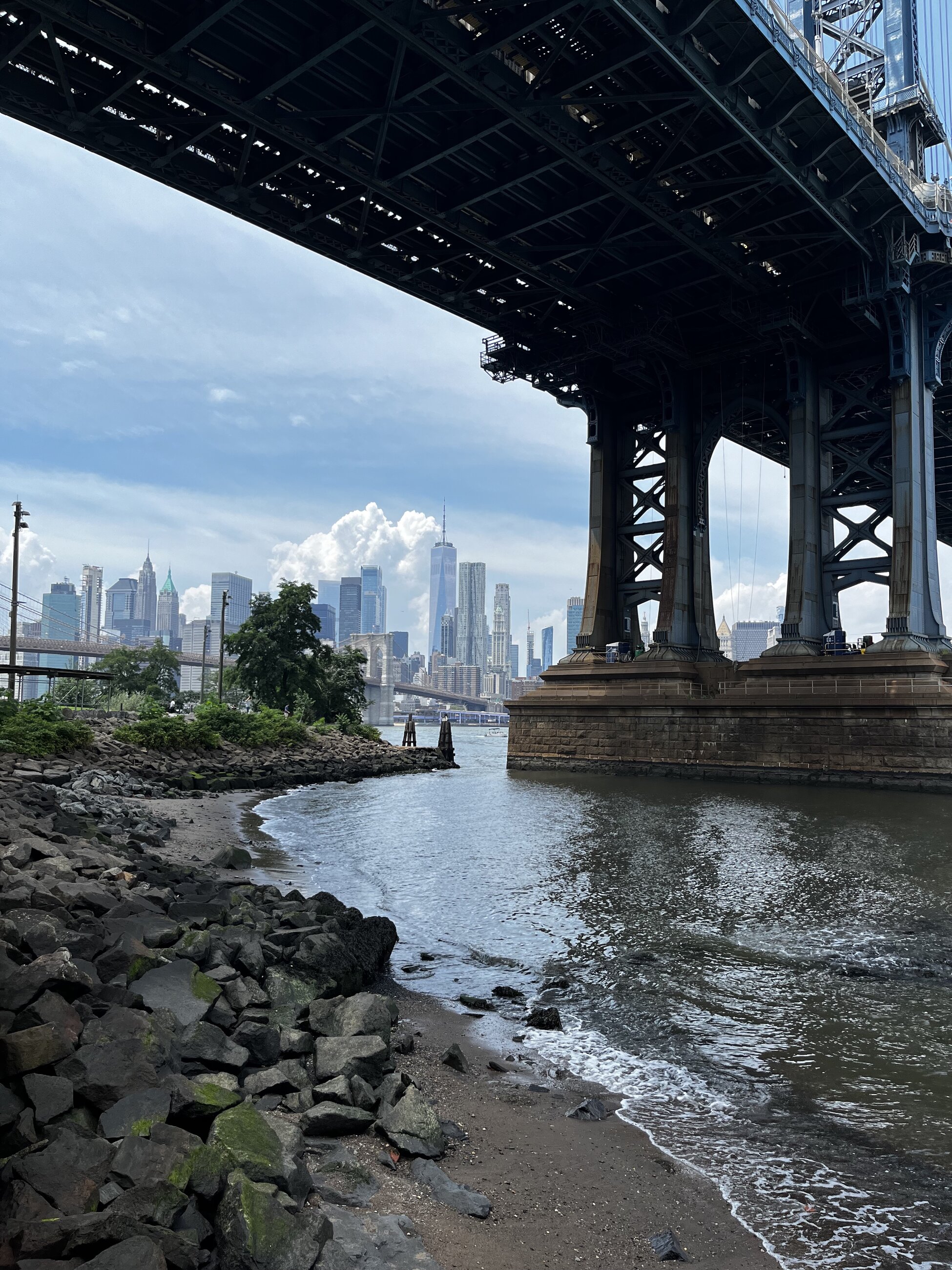 View from Dumbo