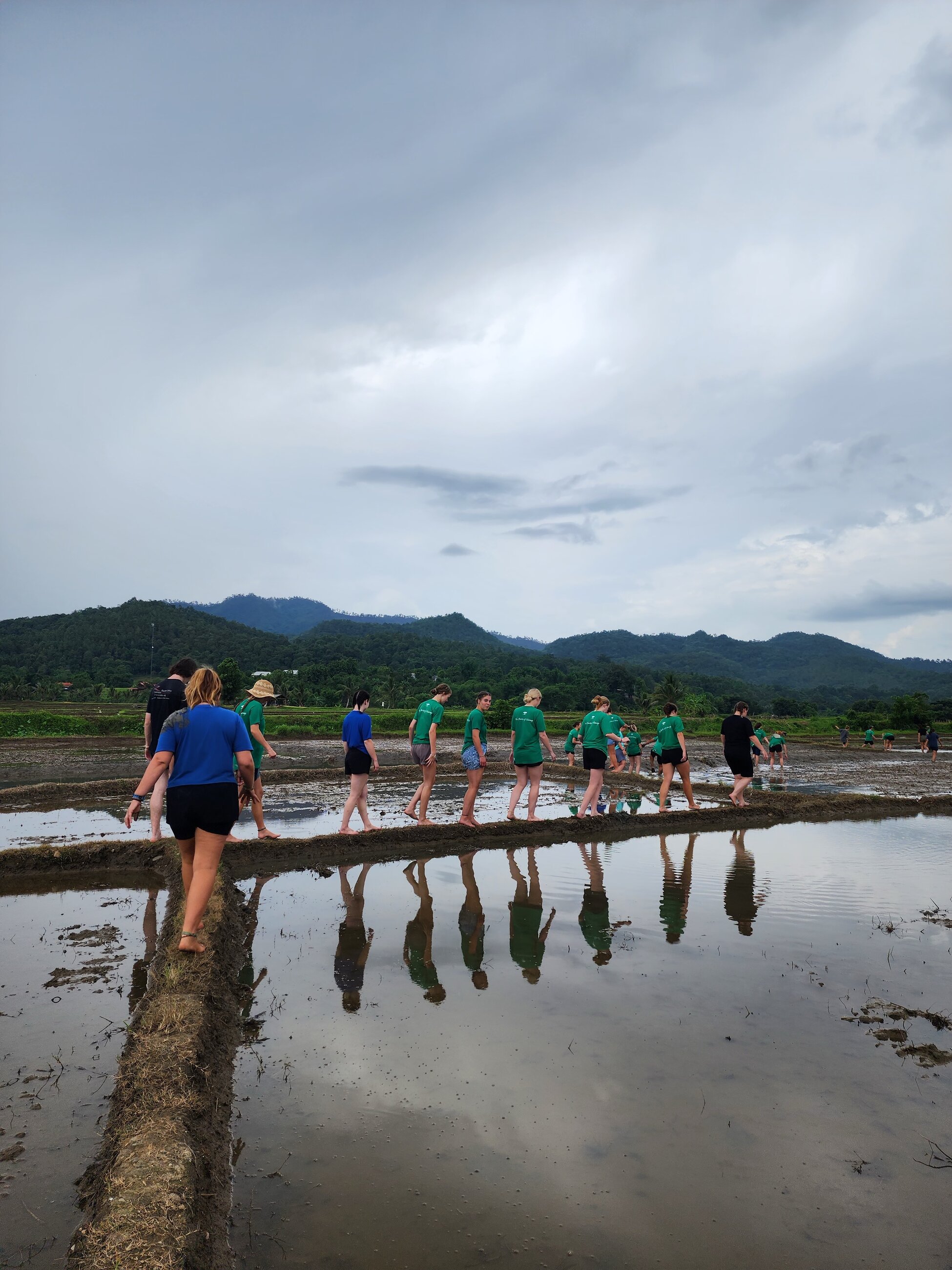 Visiting the rice paddies