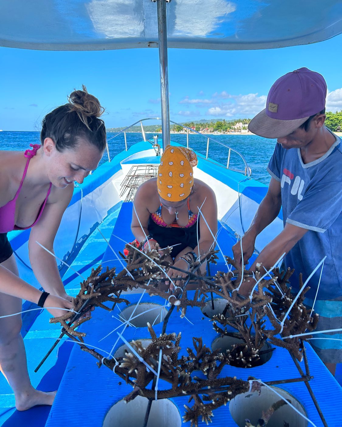 coral restoration, ready to bring the spiders underwater in our coral garden