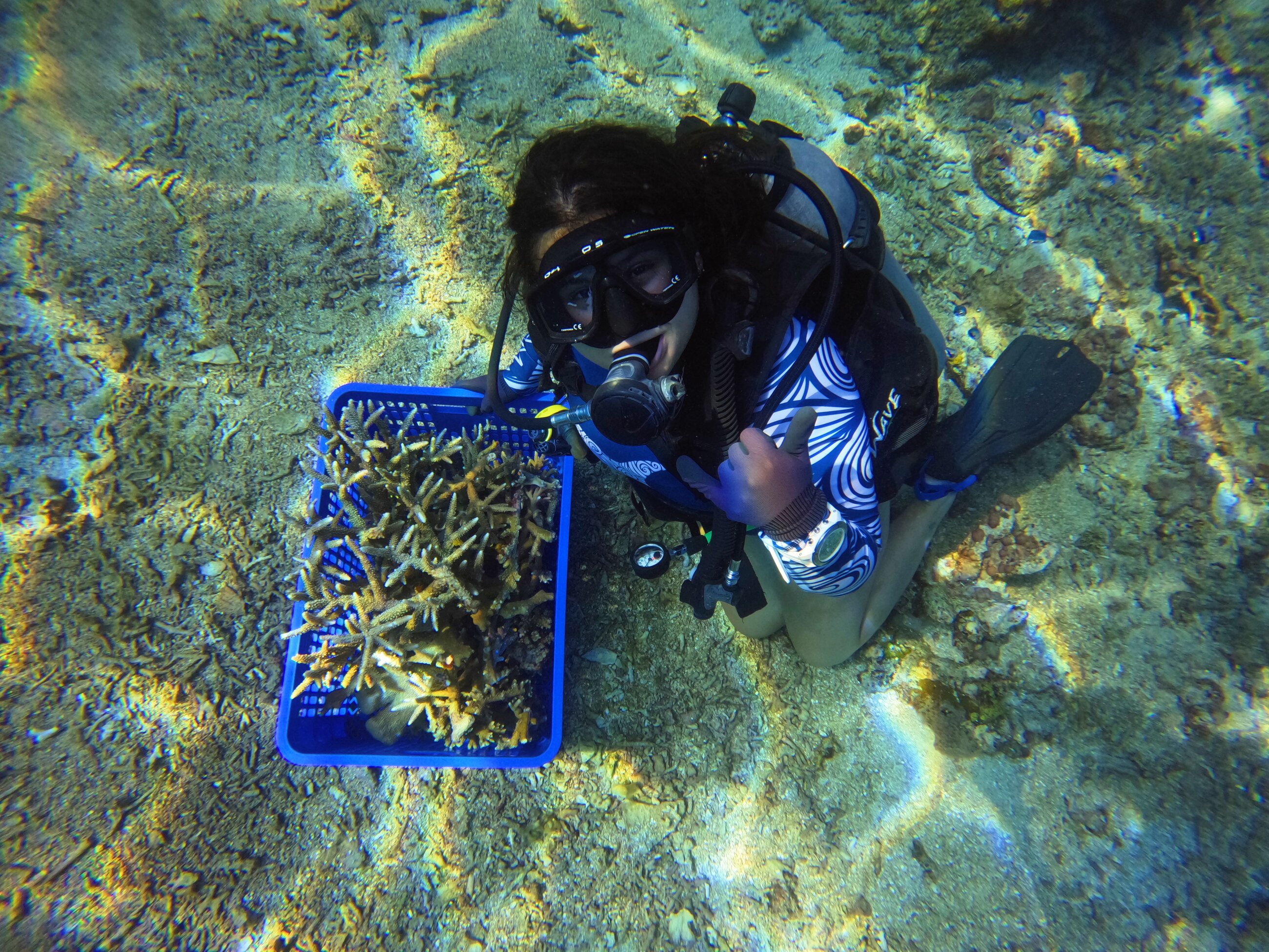 coral restoration 🤍