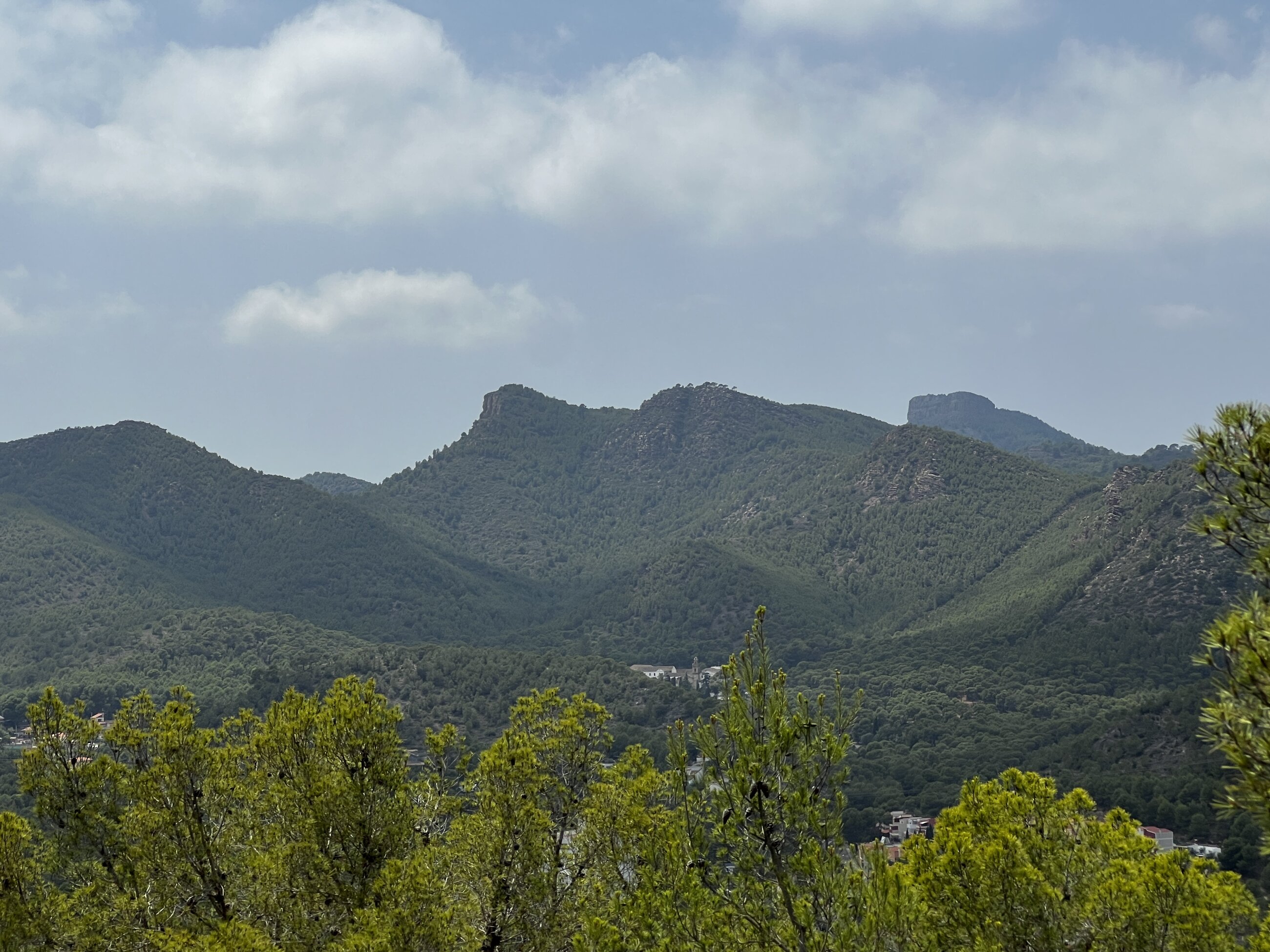 I climbed many mountains while here