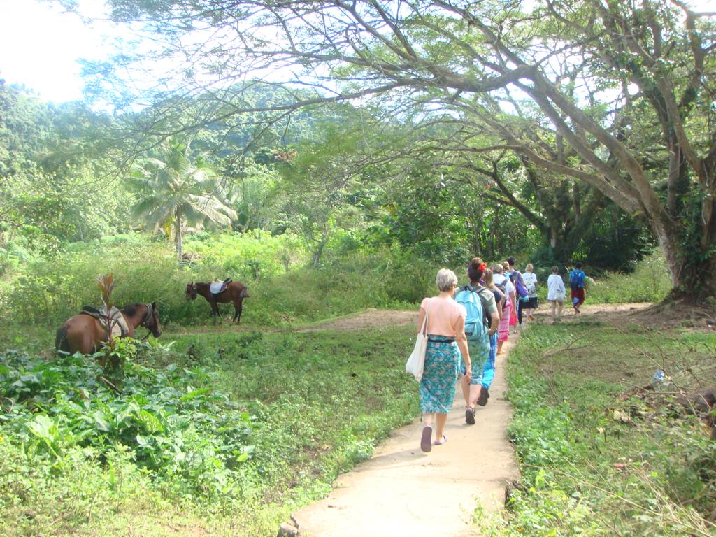 Group tour to the waterfalls