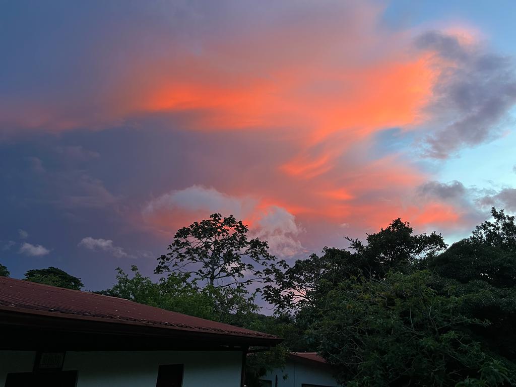 Sunsets from Campus