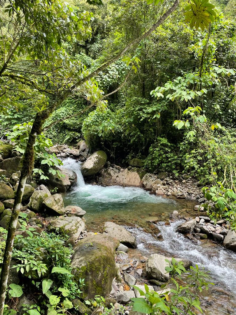 A river in a local farm that we swam in often