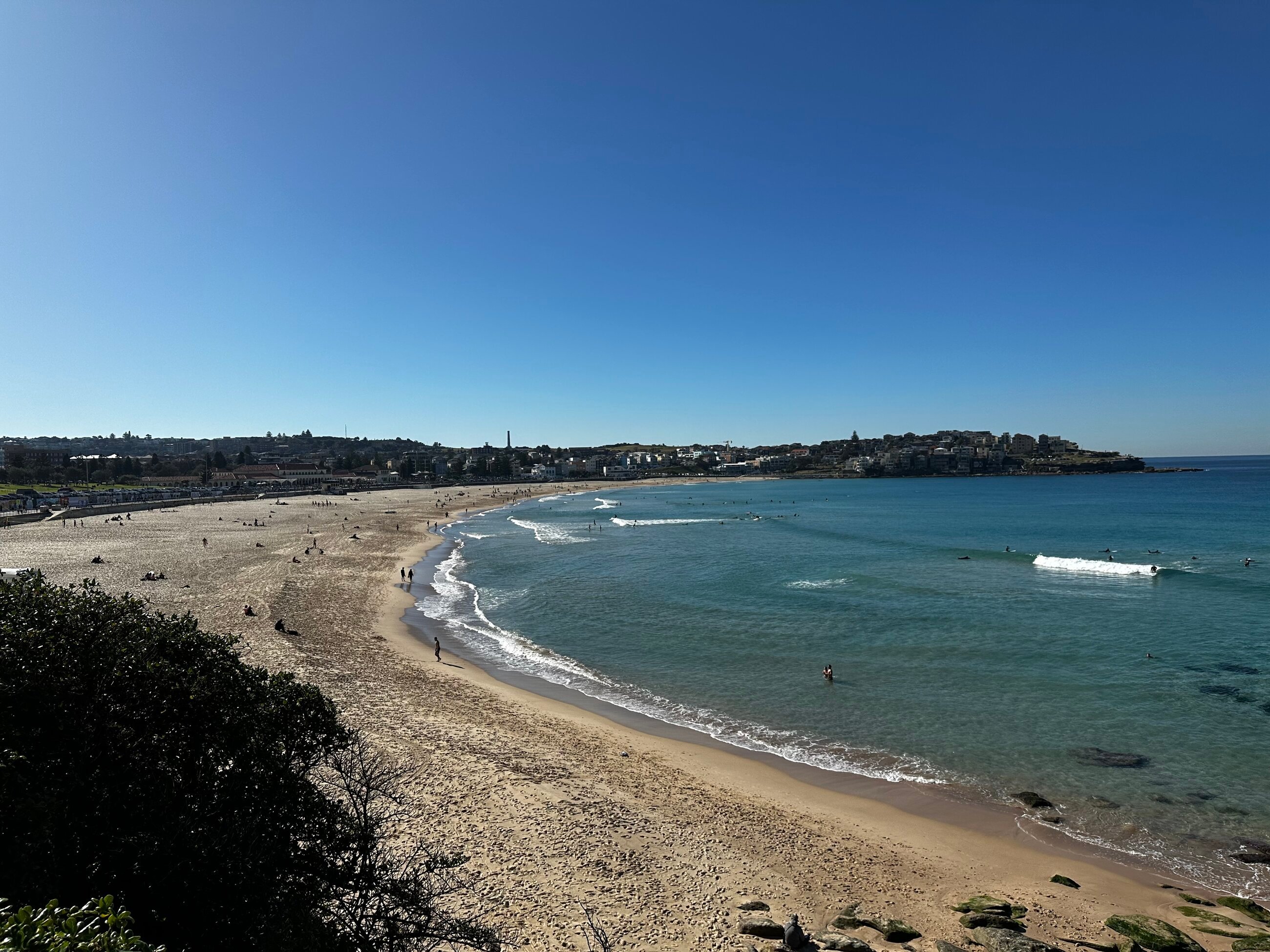 Bondi Beach