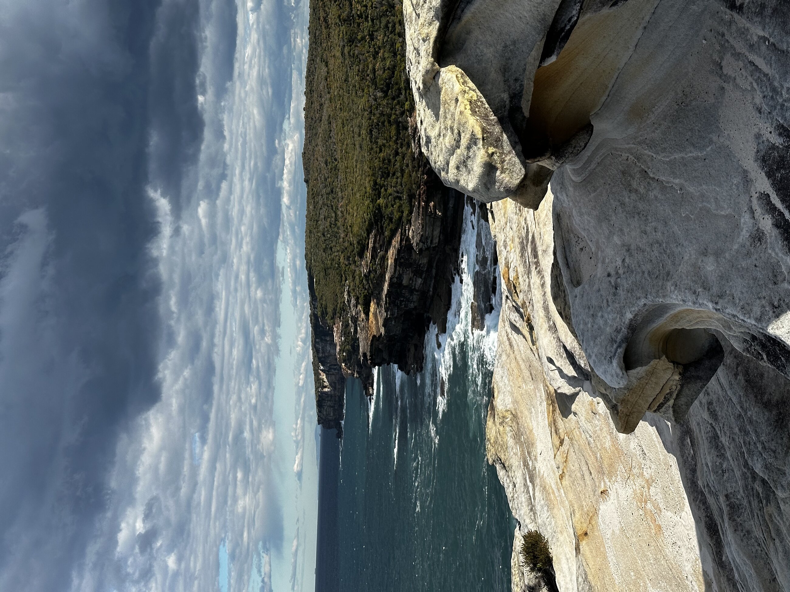 Royal national park