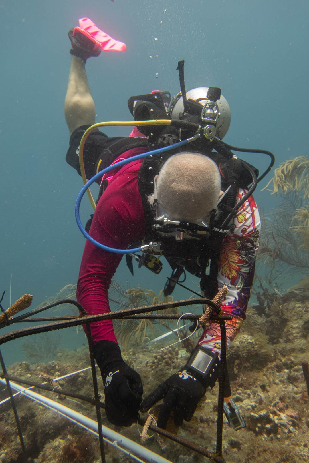 Working on the Reef