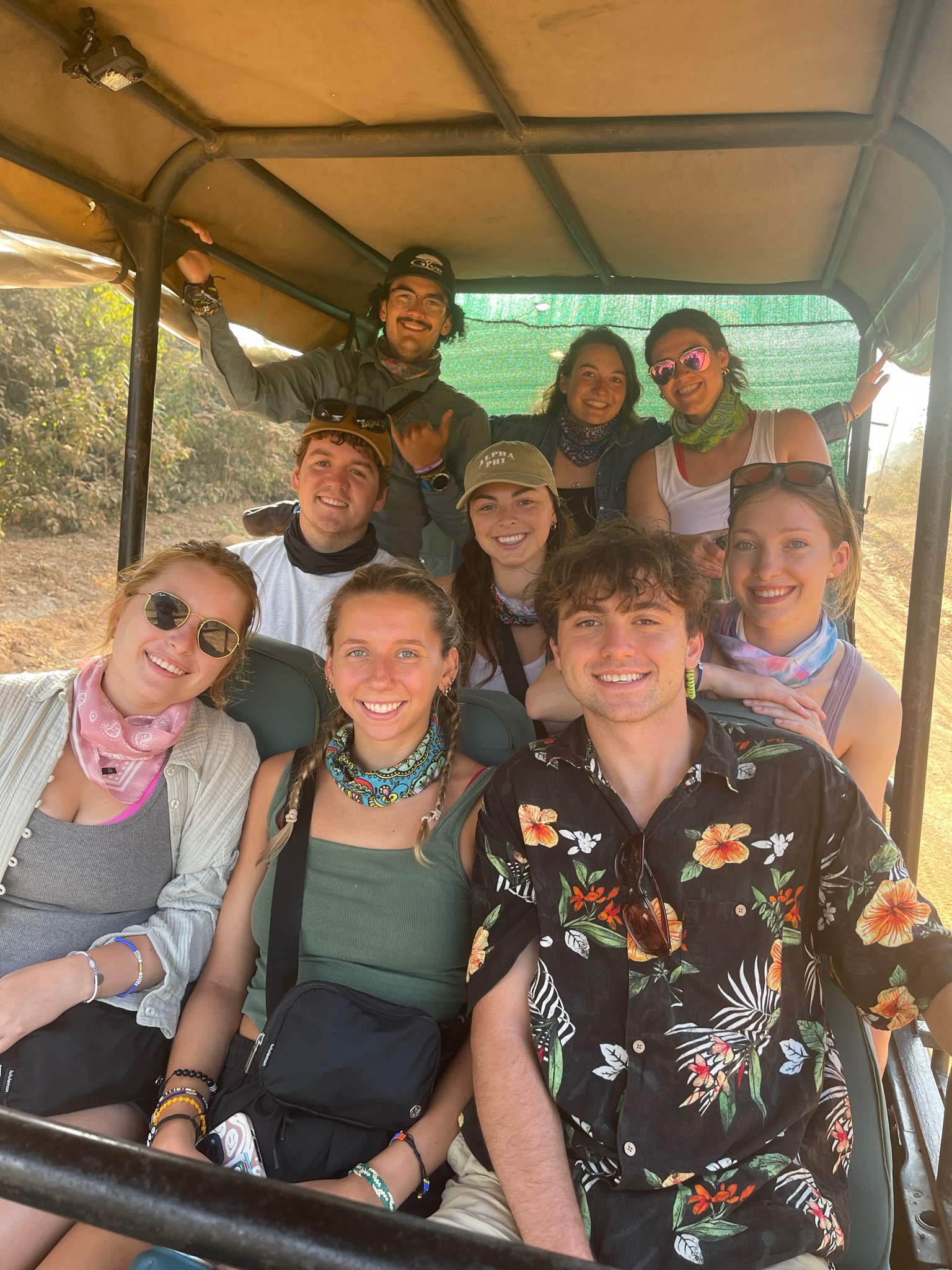 safari!
