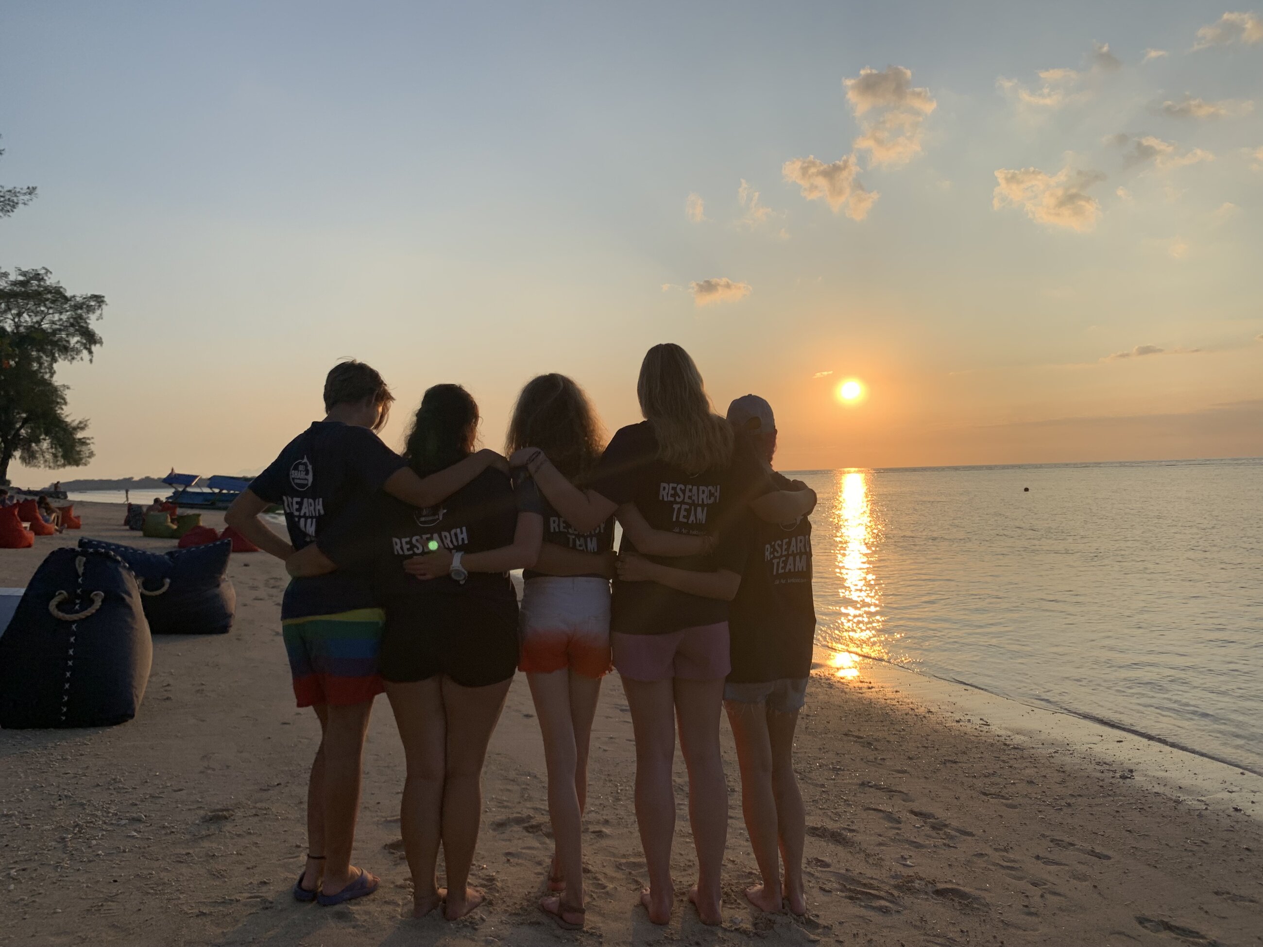 Sharkies at sunset