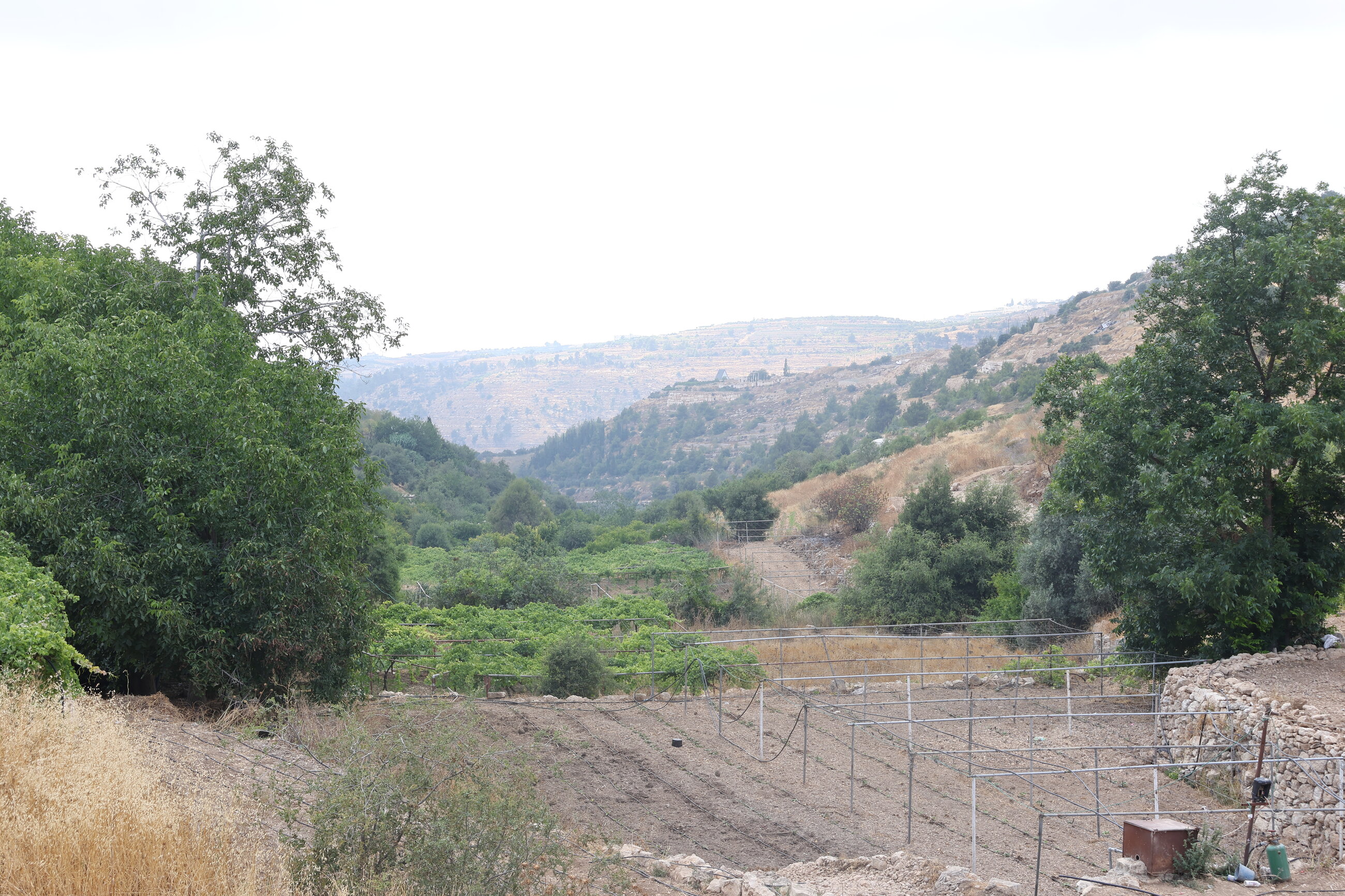 village