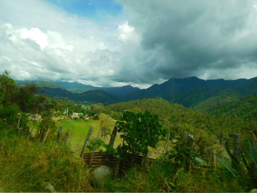 the incredible views :)