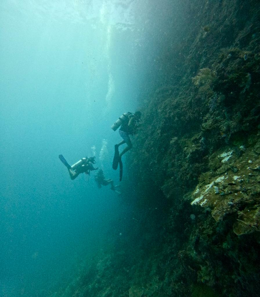Raja diving