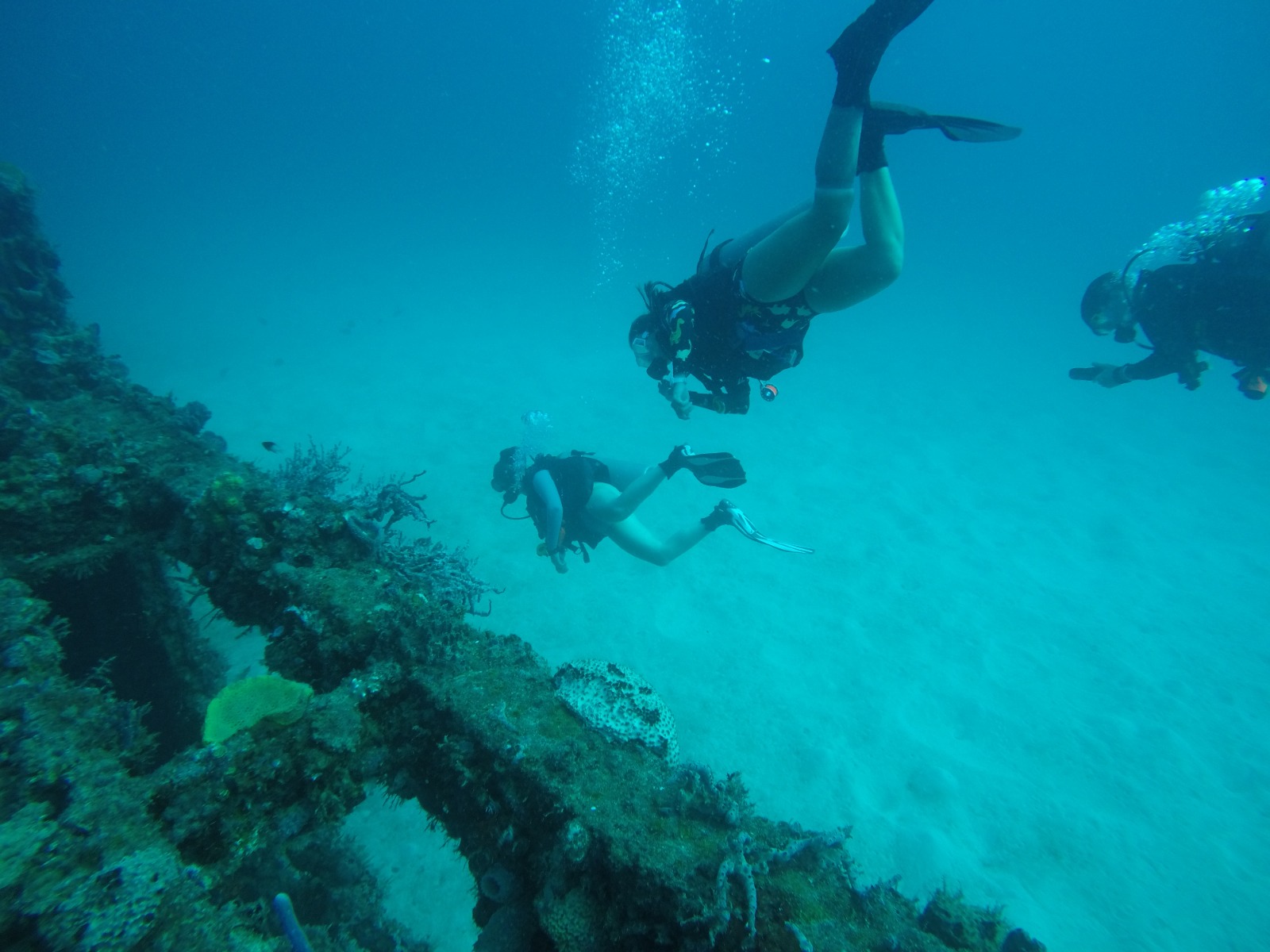 Diving