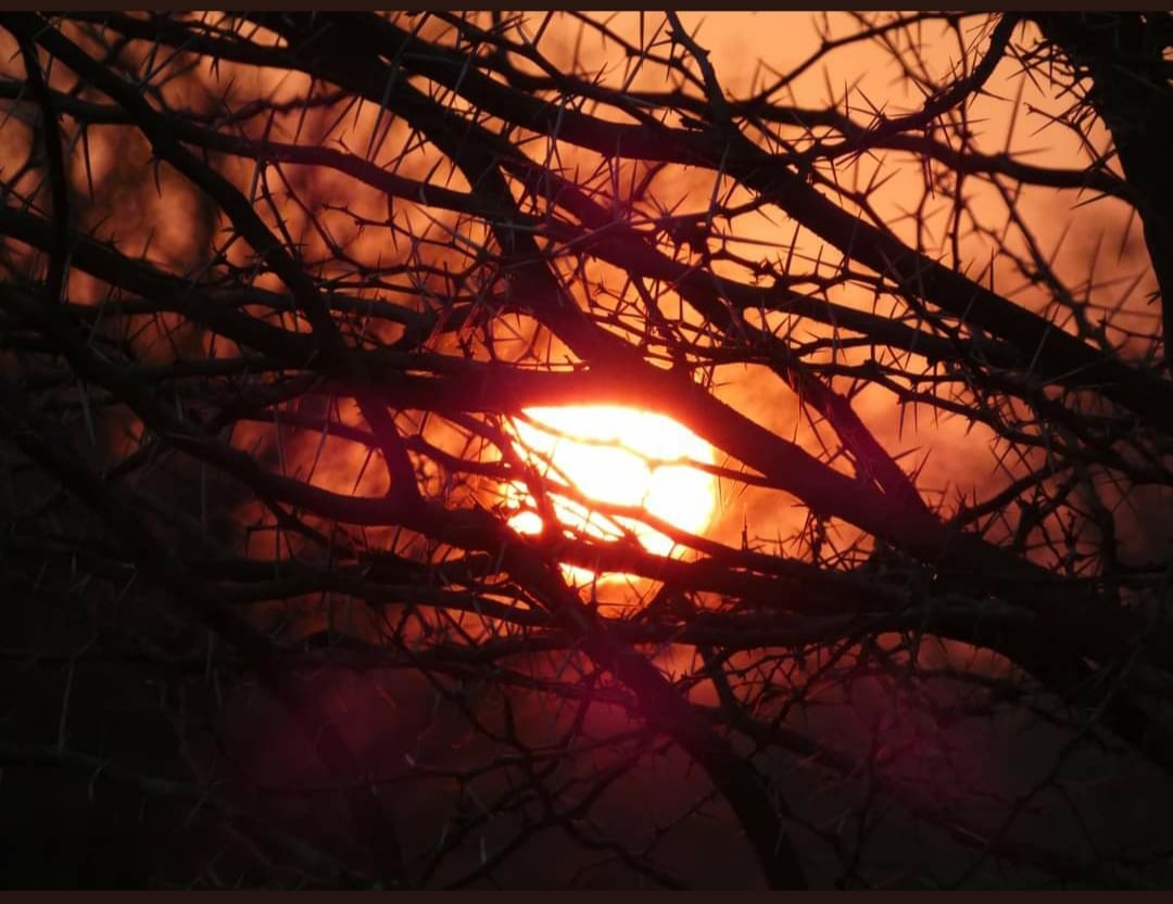 Sunset at nakavango