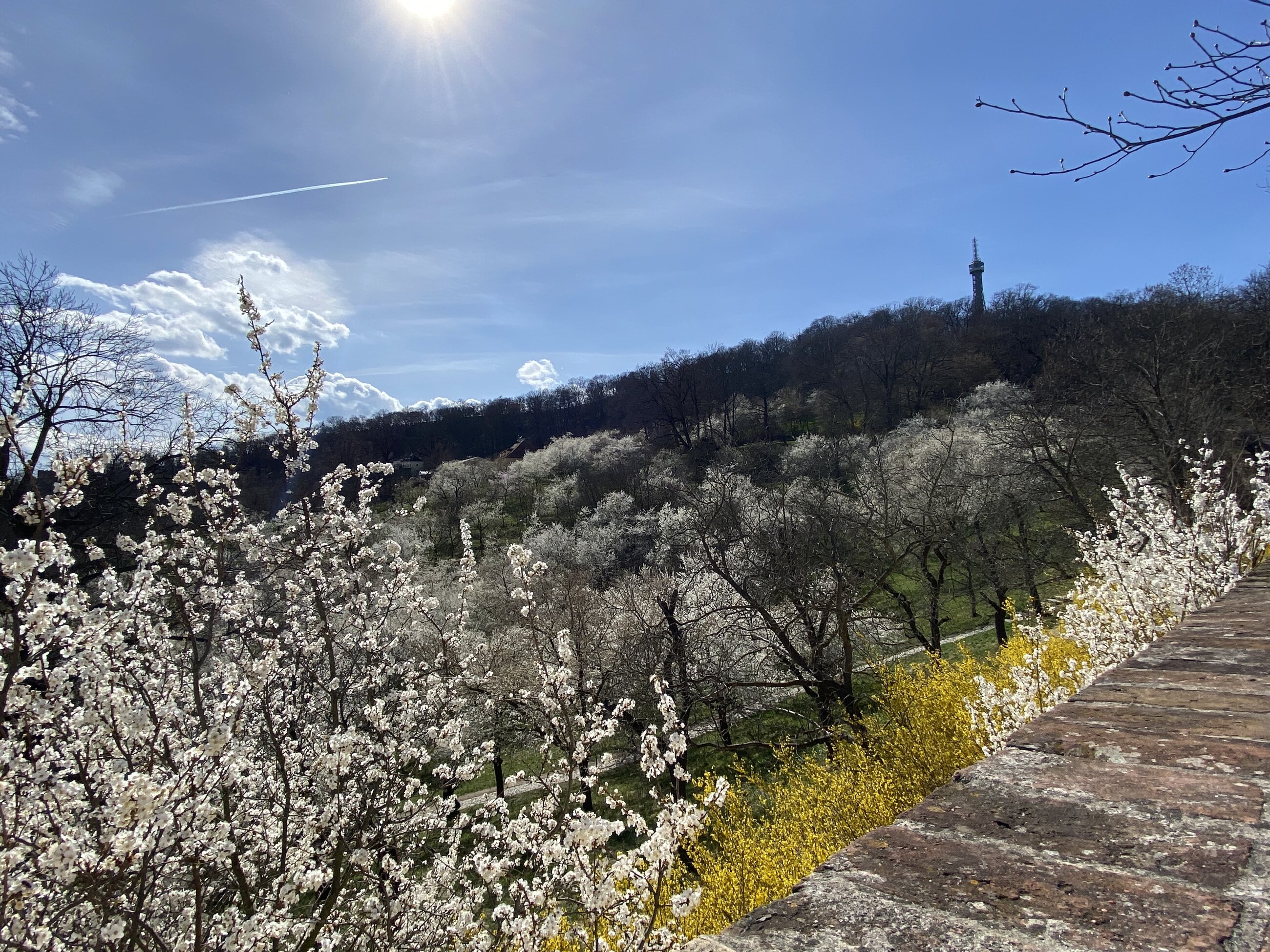 Petřín in spring.