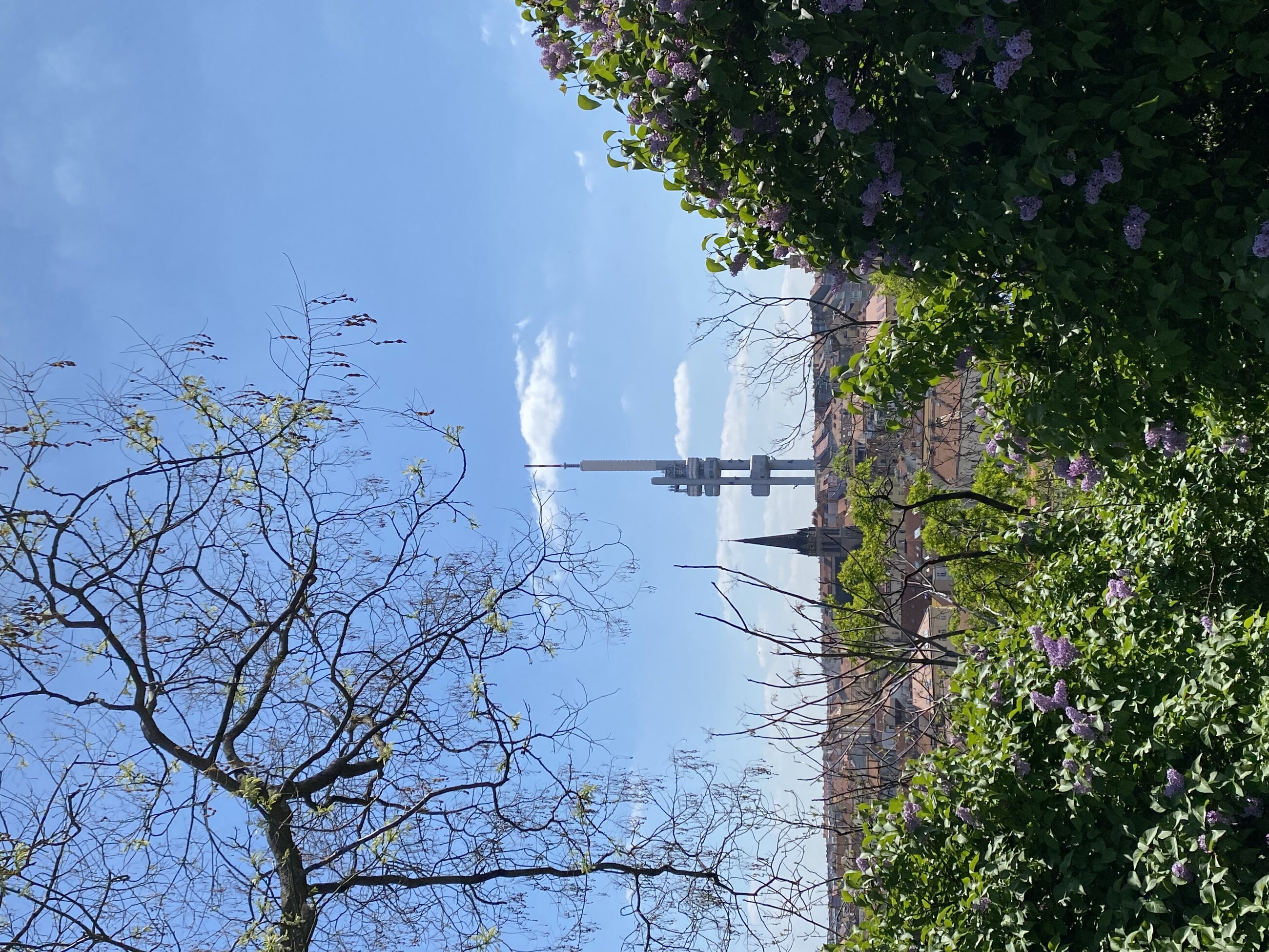 TV Tower.