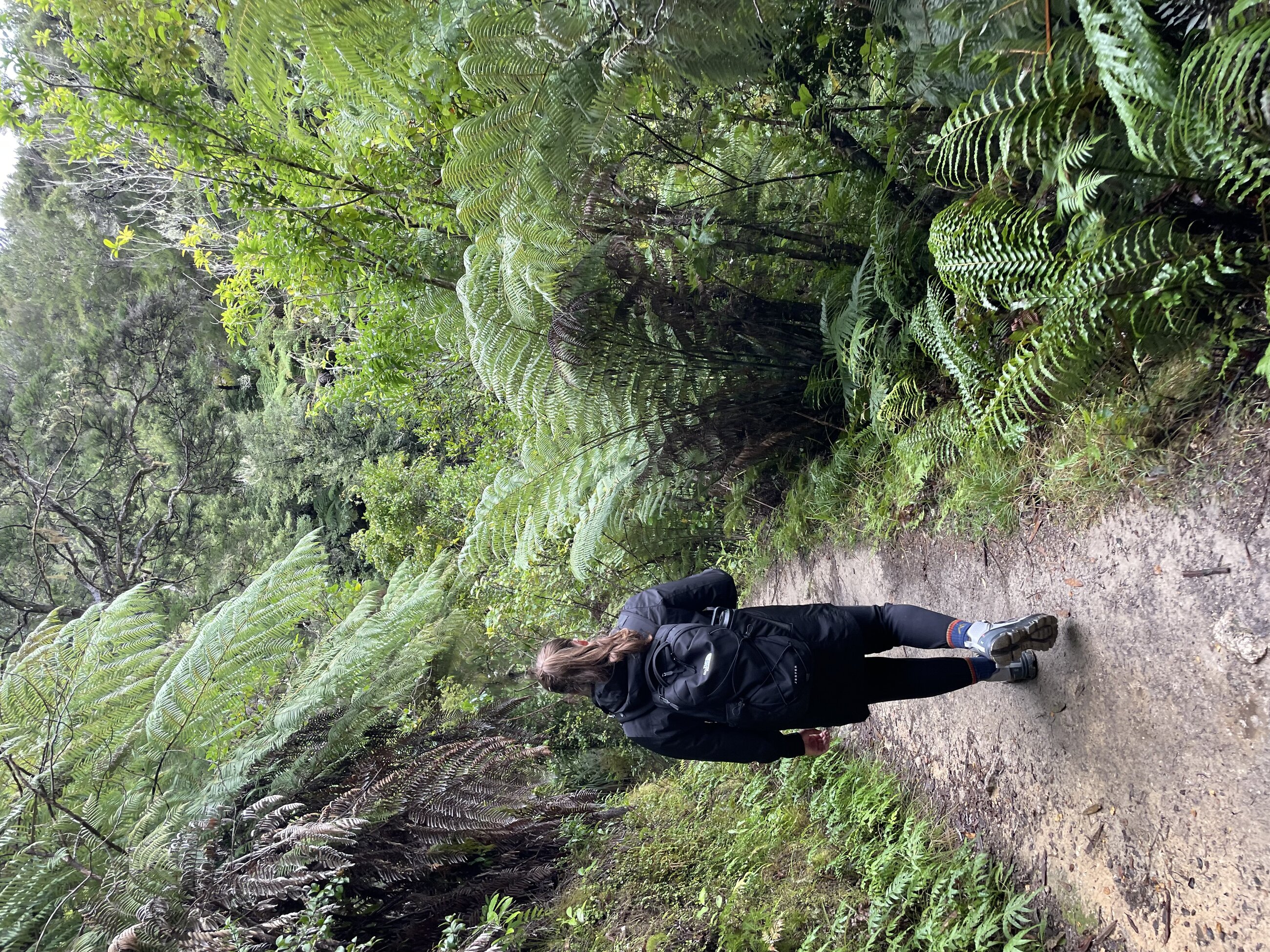 Tasman National Park
