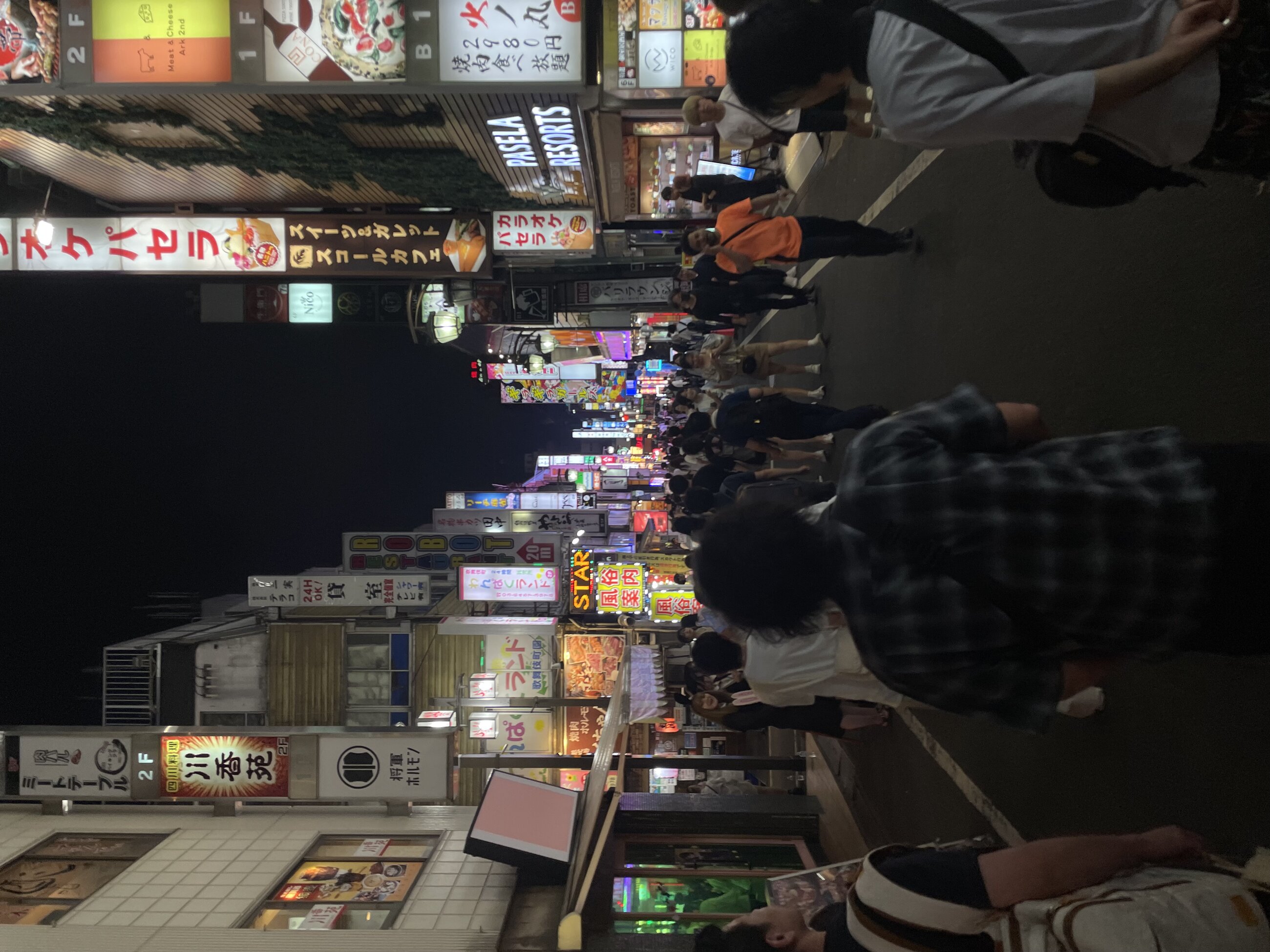 This was in Shinjuku at around 10:00pm(22:00) and it is one of my favorite memories of Japan because it reminds me of when me and my friends were walking down the street being amazed by the neon signs but I also remember laughing all the way down this street with my friends from other countries when we were telling stories