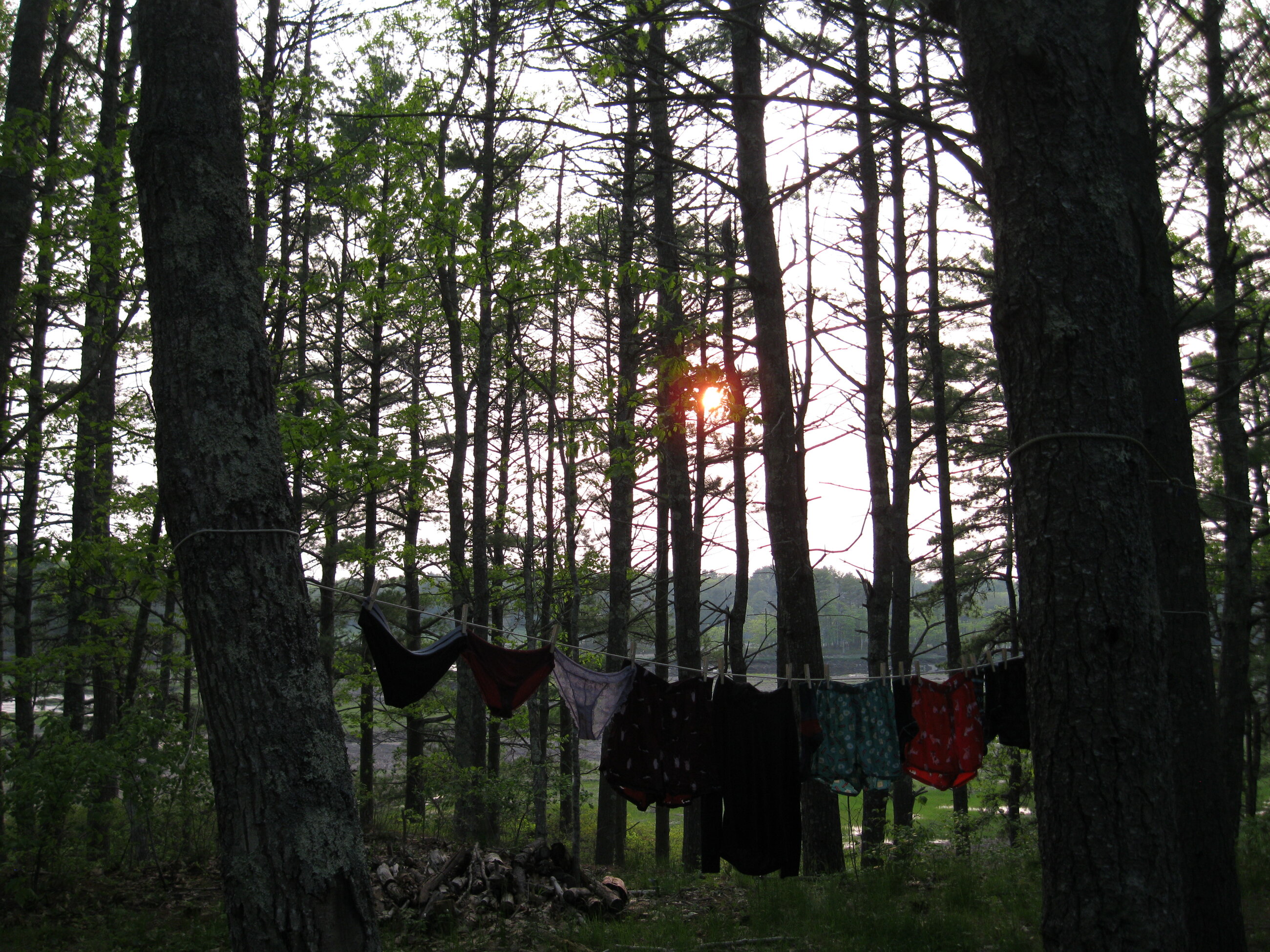 At Seguinland I fell in love with clotheslines at sunset, surprisingly enough.
