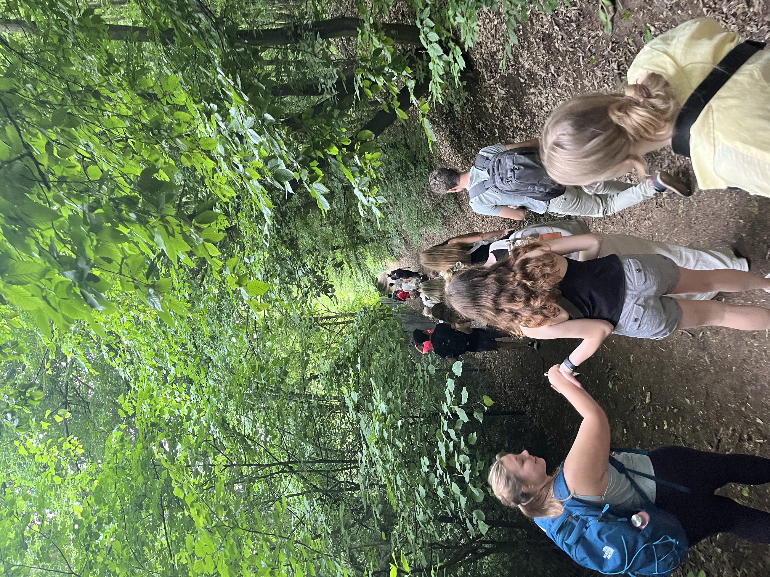 Hiking