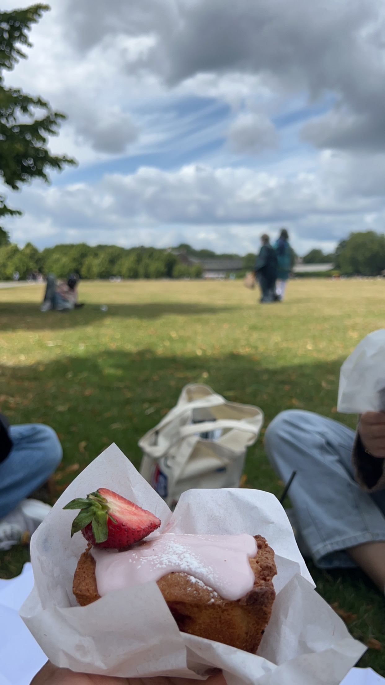 A picnic in hyde park