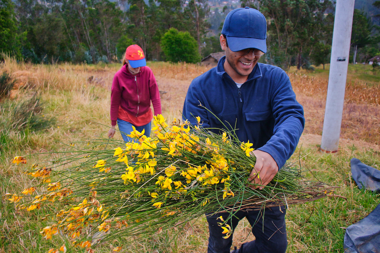 Harvesting for Organic Fertiliser
