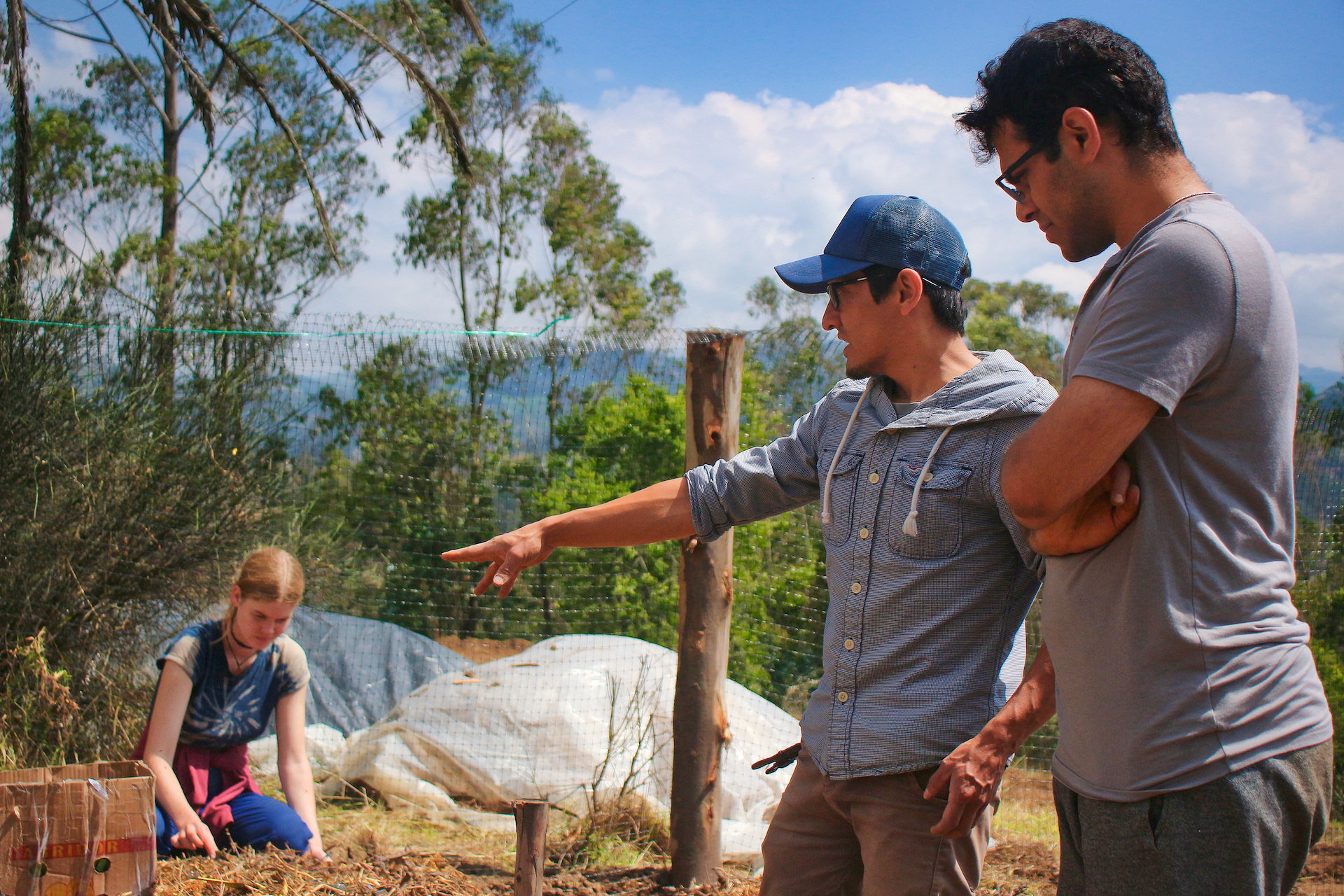 Designing Organic Farm