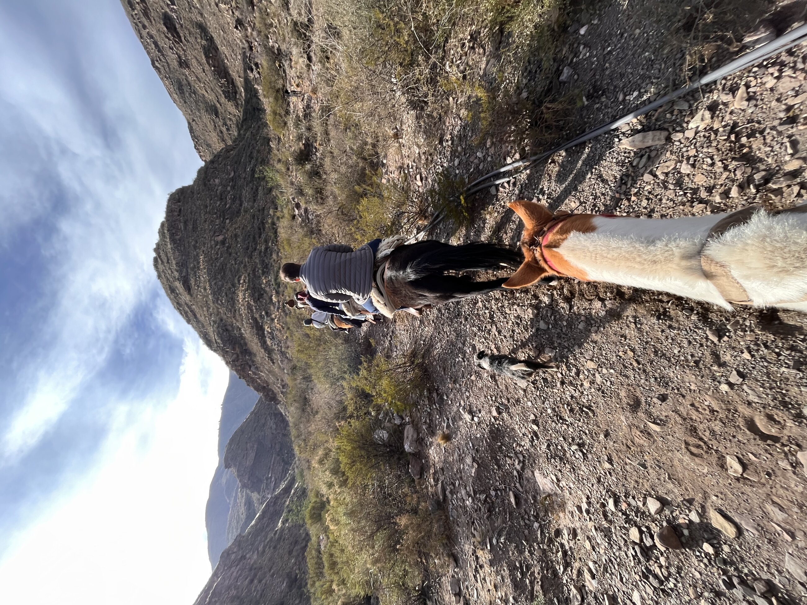Horseback riding in Mendoza!