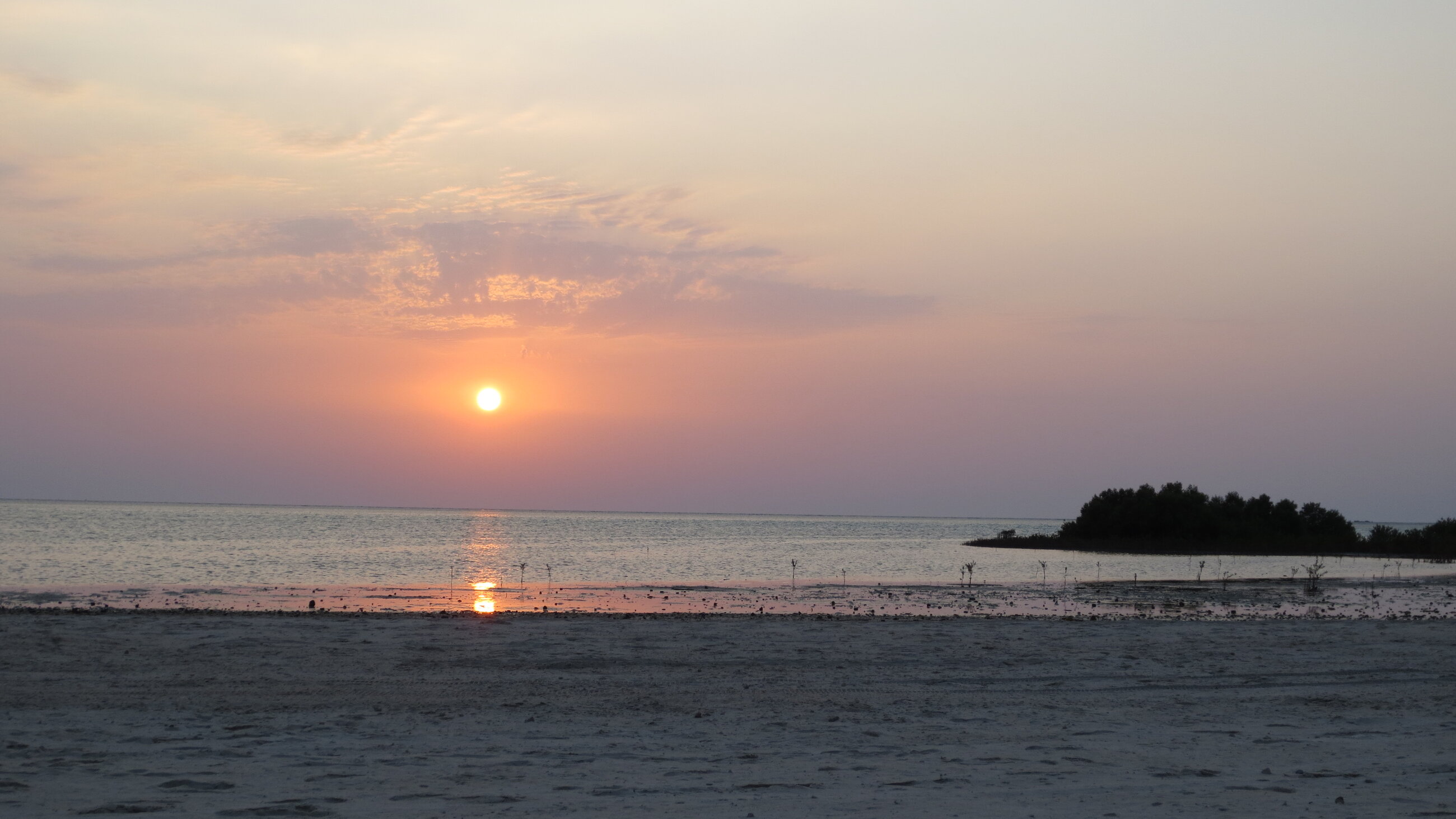 View from the beach on campus at KAUST