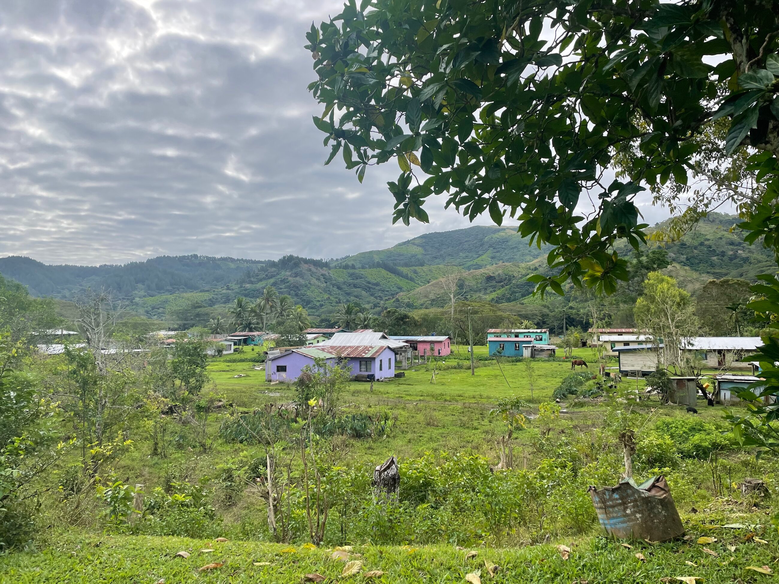 Fiji Village