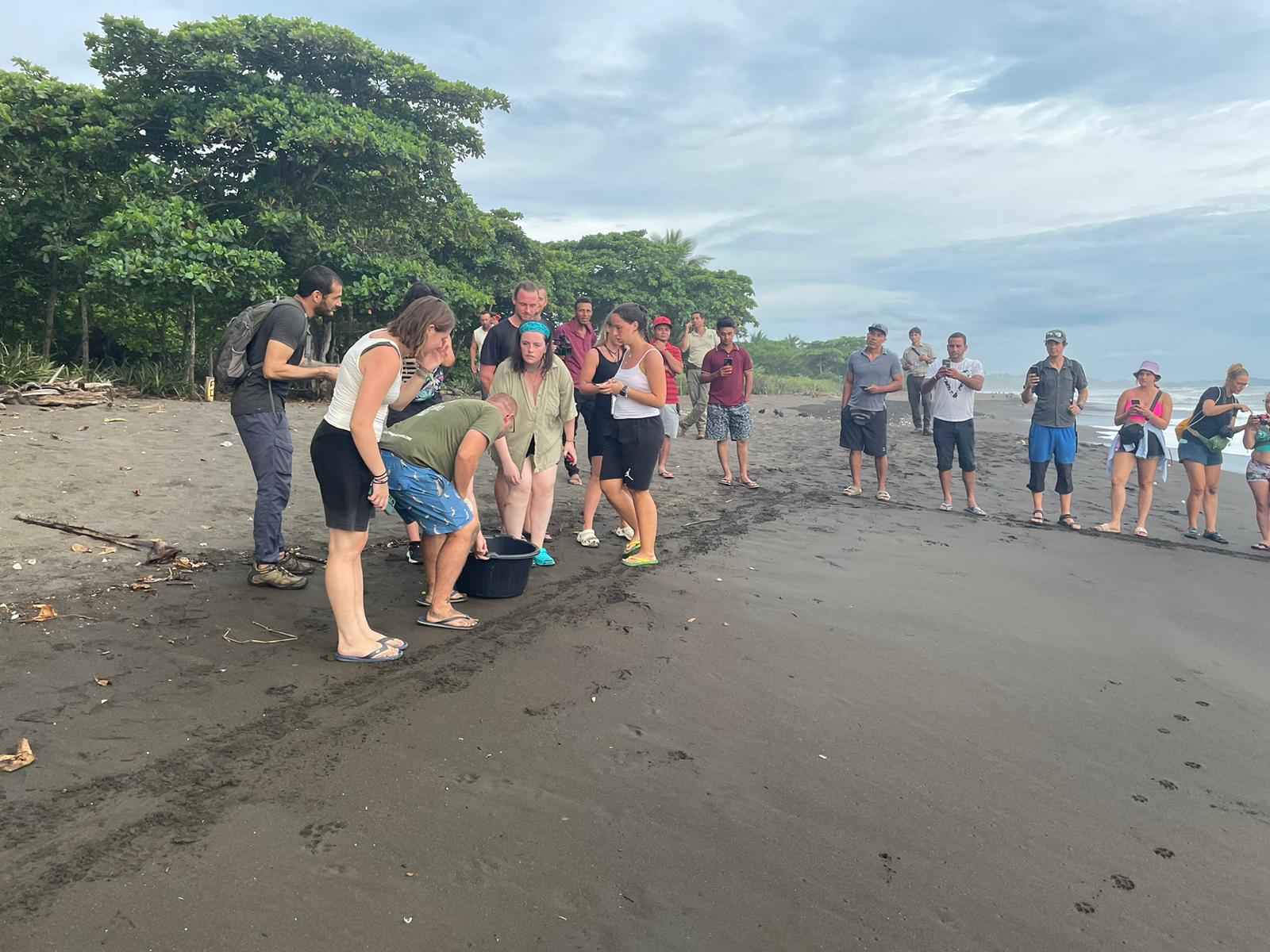 Green baby release