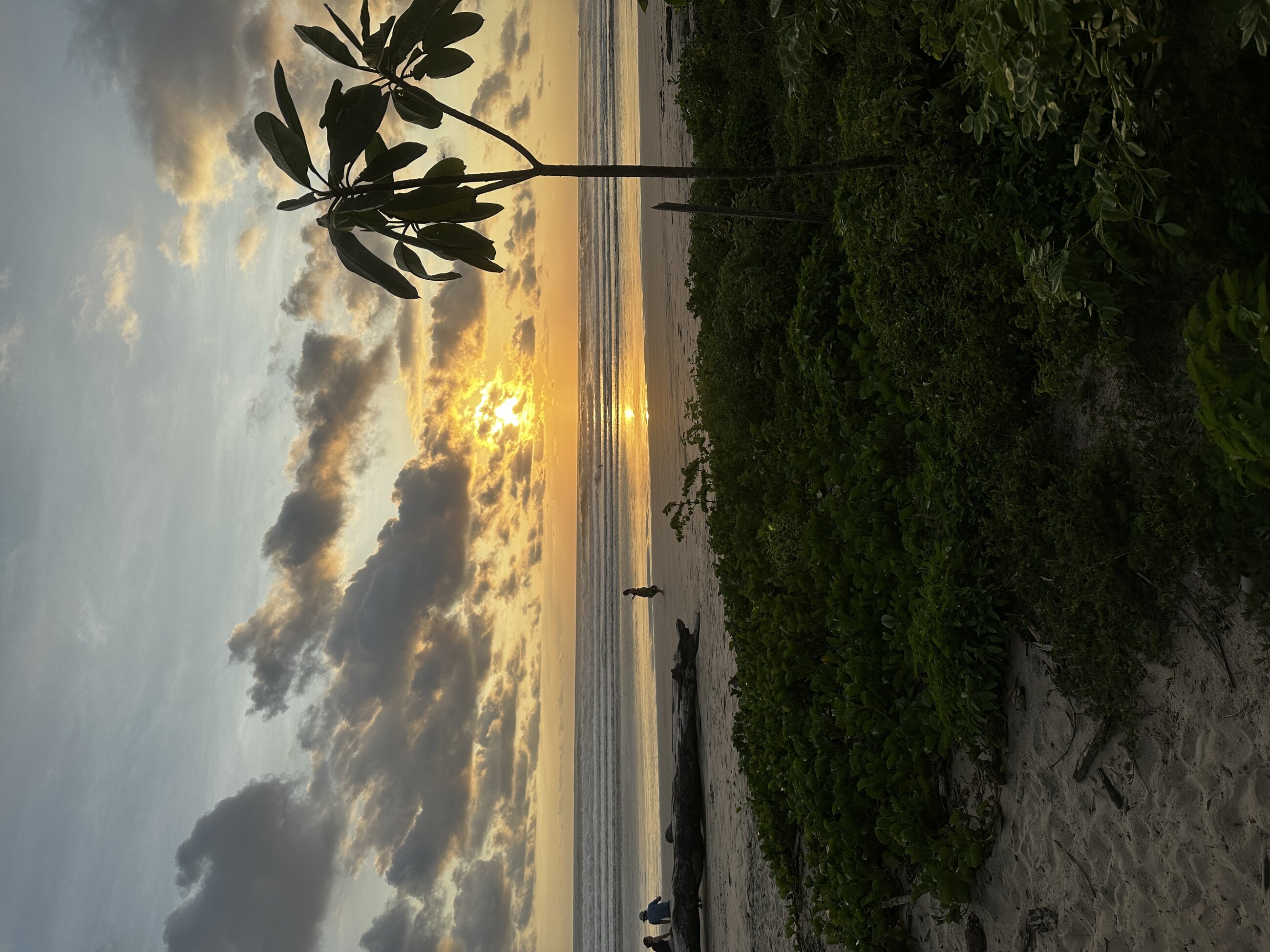 Nosara Sunset