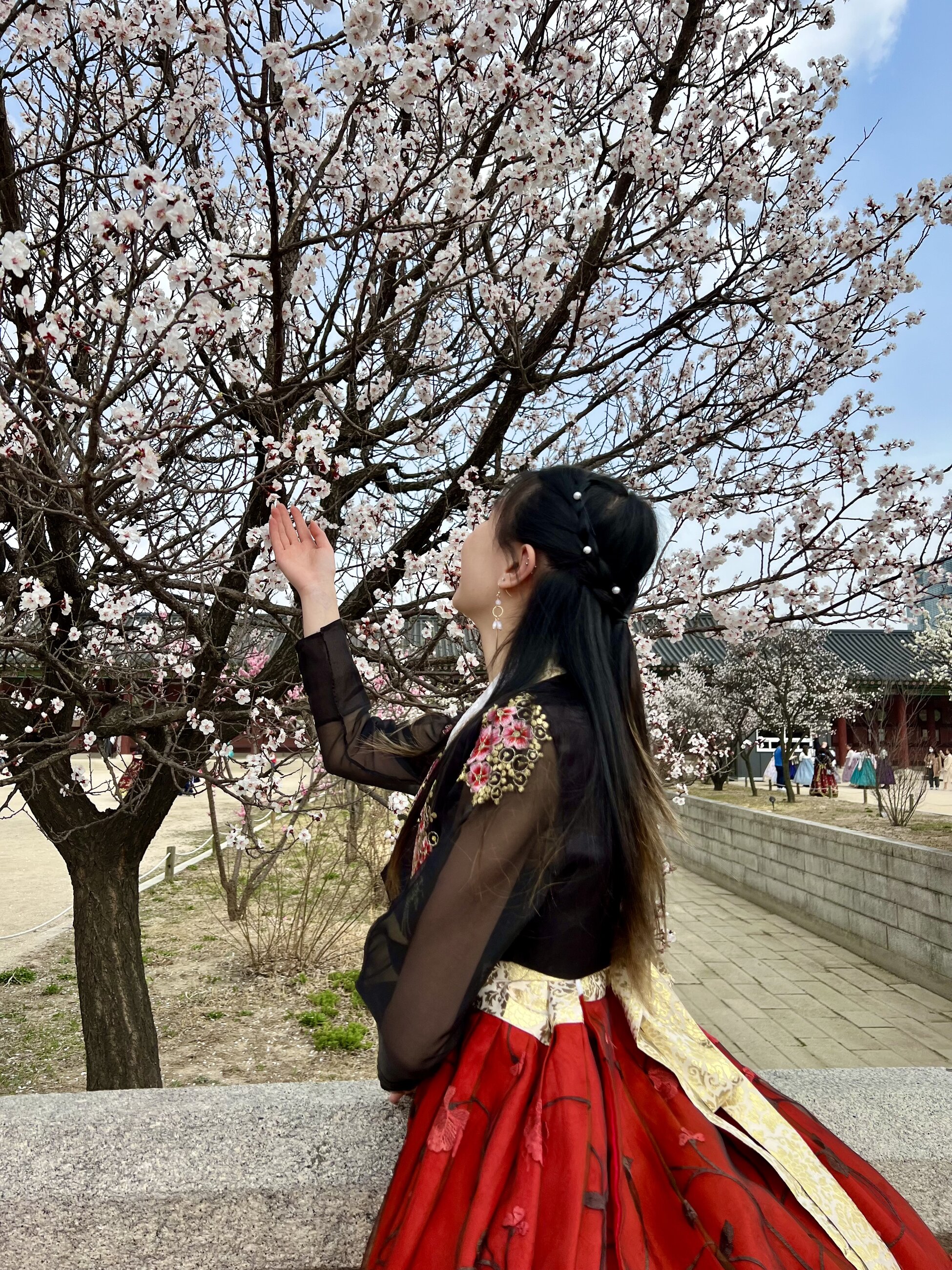 Trying Hanbok