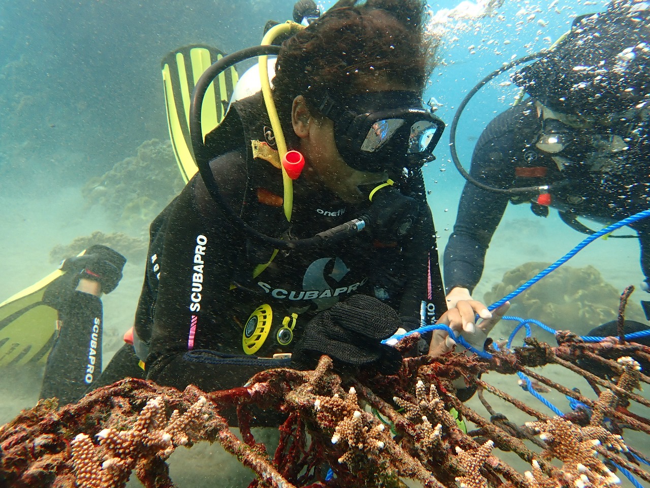 Some coral cleaning!